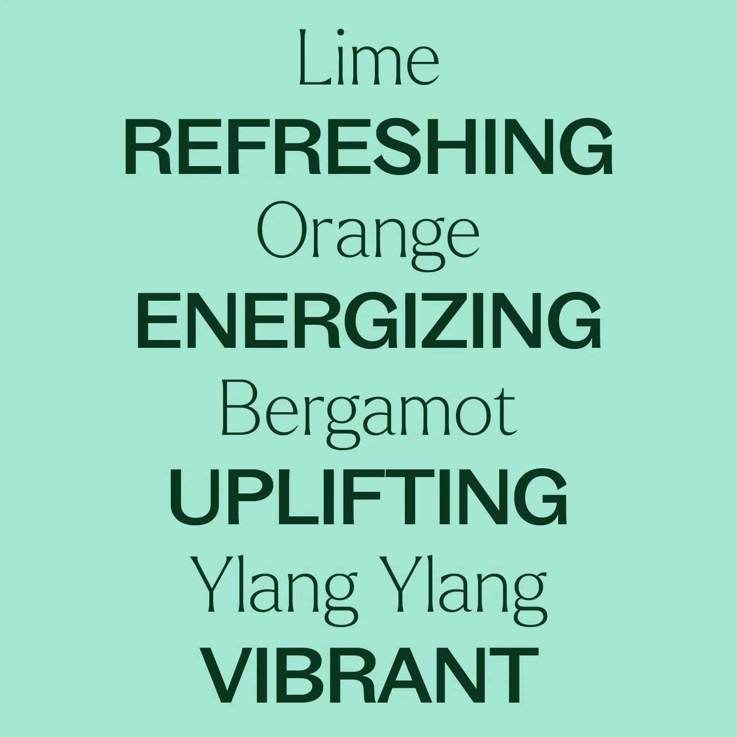 Lime Twist Essential Oil Blend - Image 4