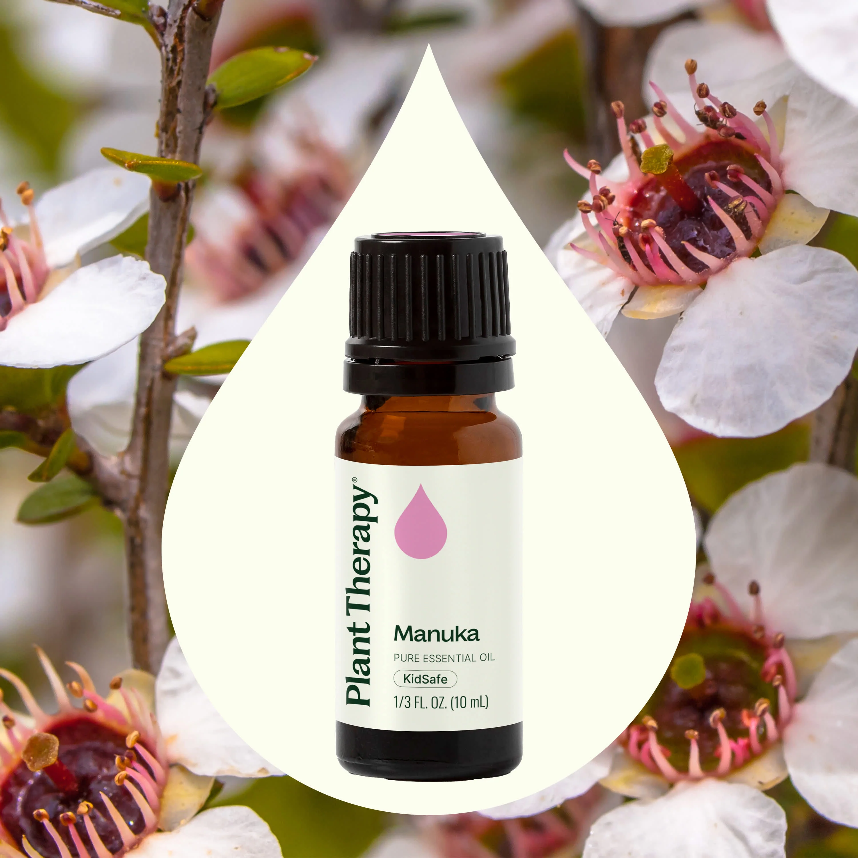 Manuka Essential Oil - Image 2