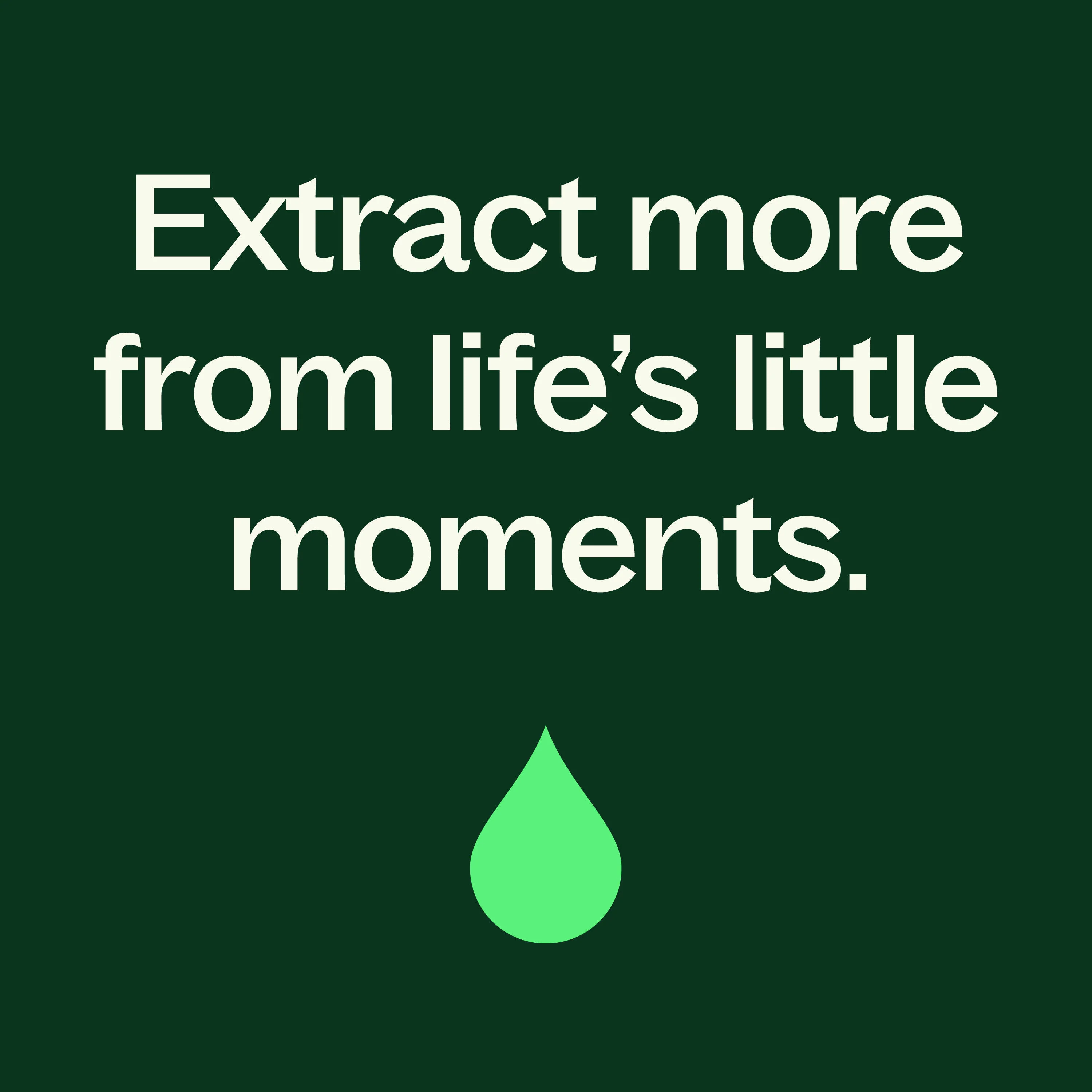 Manuka Essential Oil - Image 3