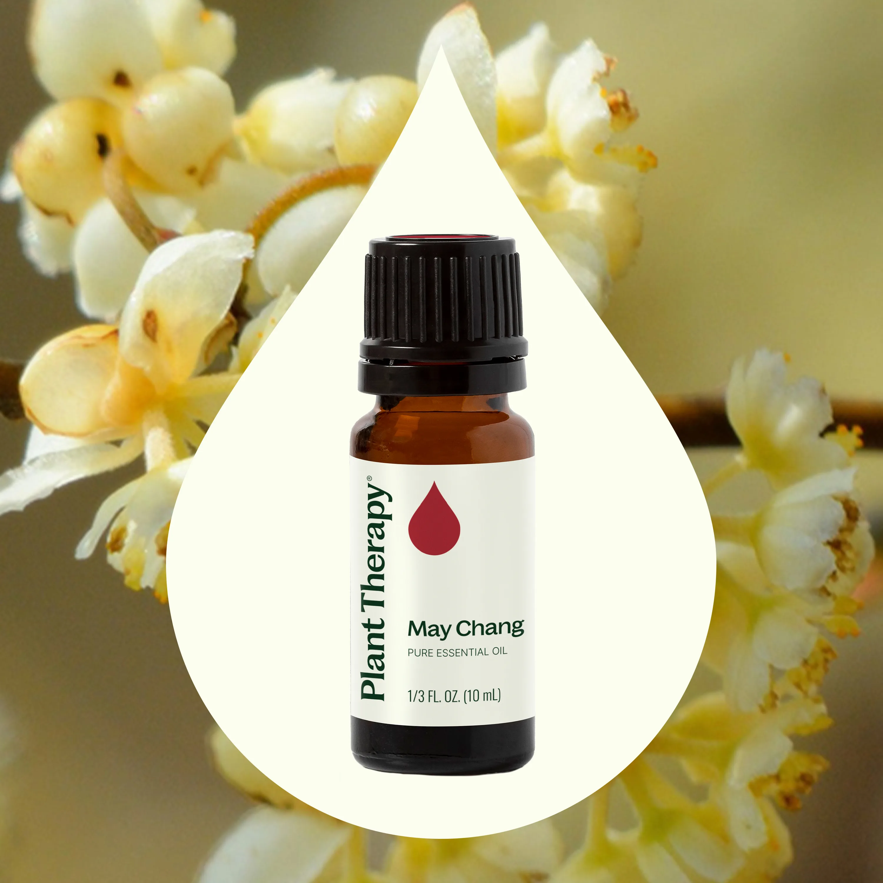 May Chang Essential Oil - Image 2