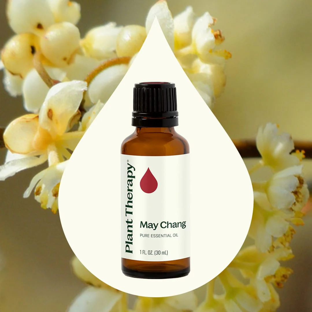 May Chang Essential Oil - Image 3