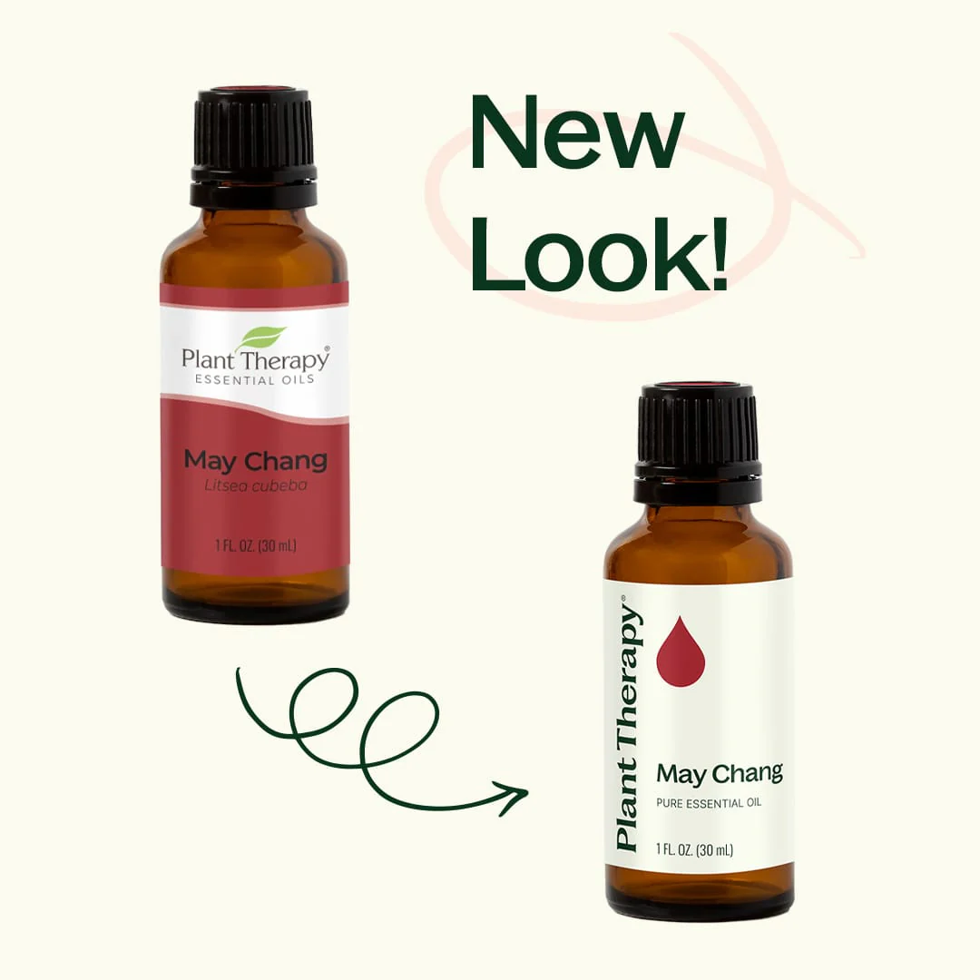 May Chang Essential Oil - Image 4