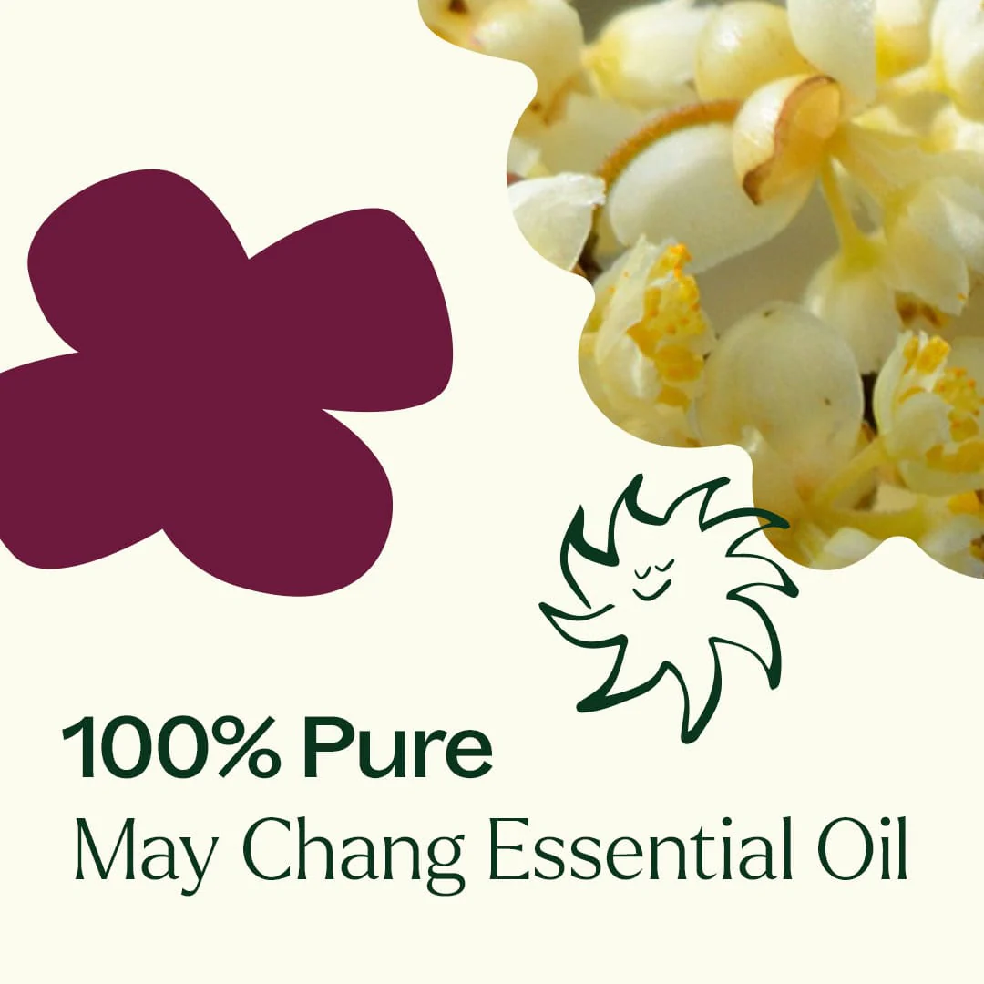 May Chang Essential Oil - Image 7