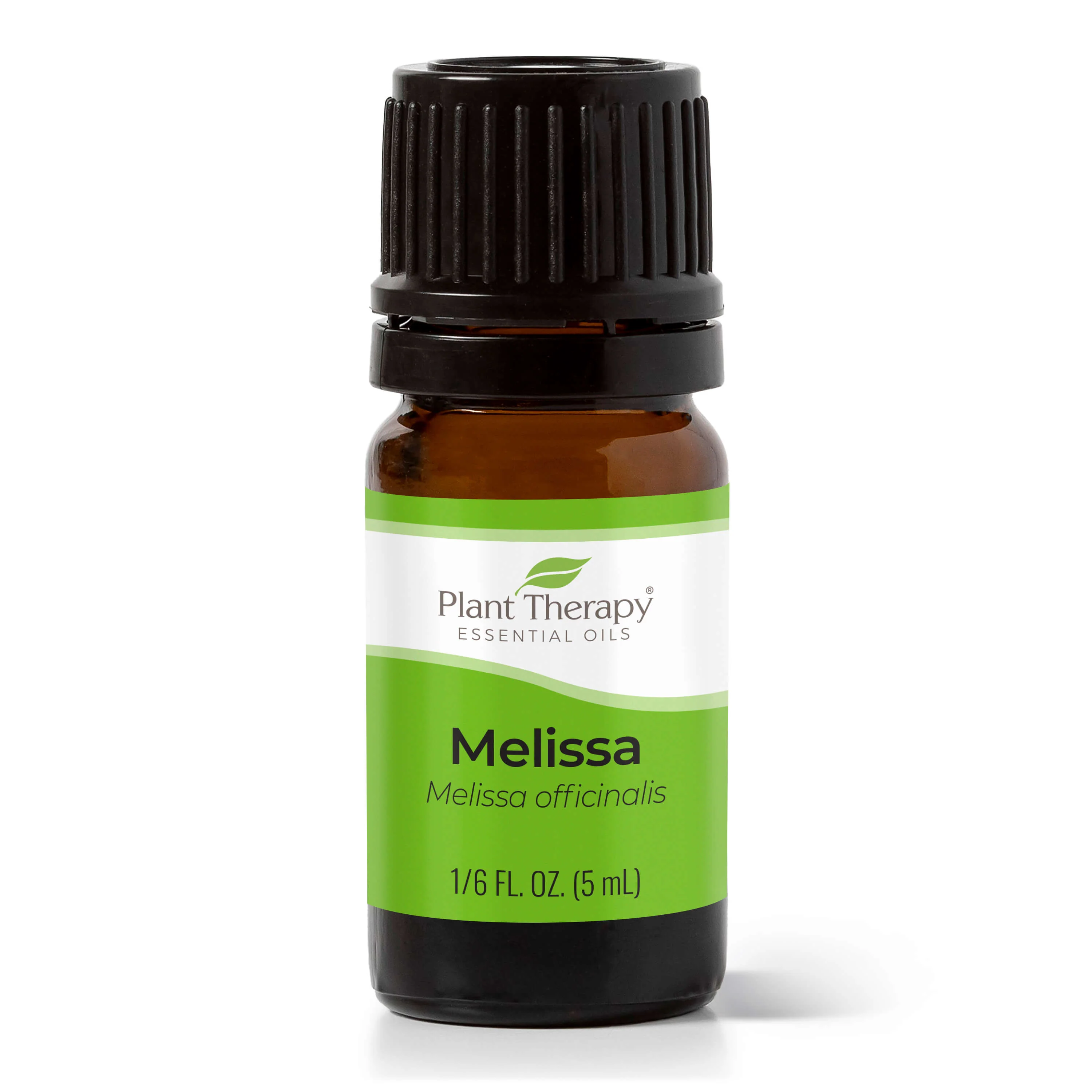 Melissa Essential Oil - Image 11