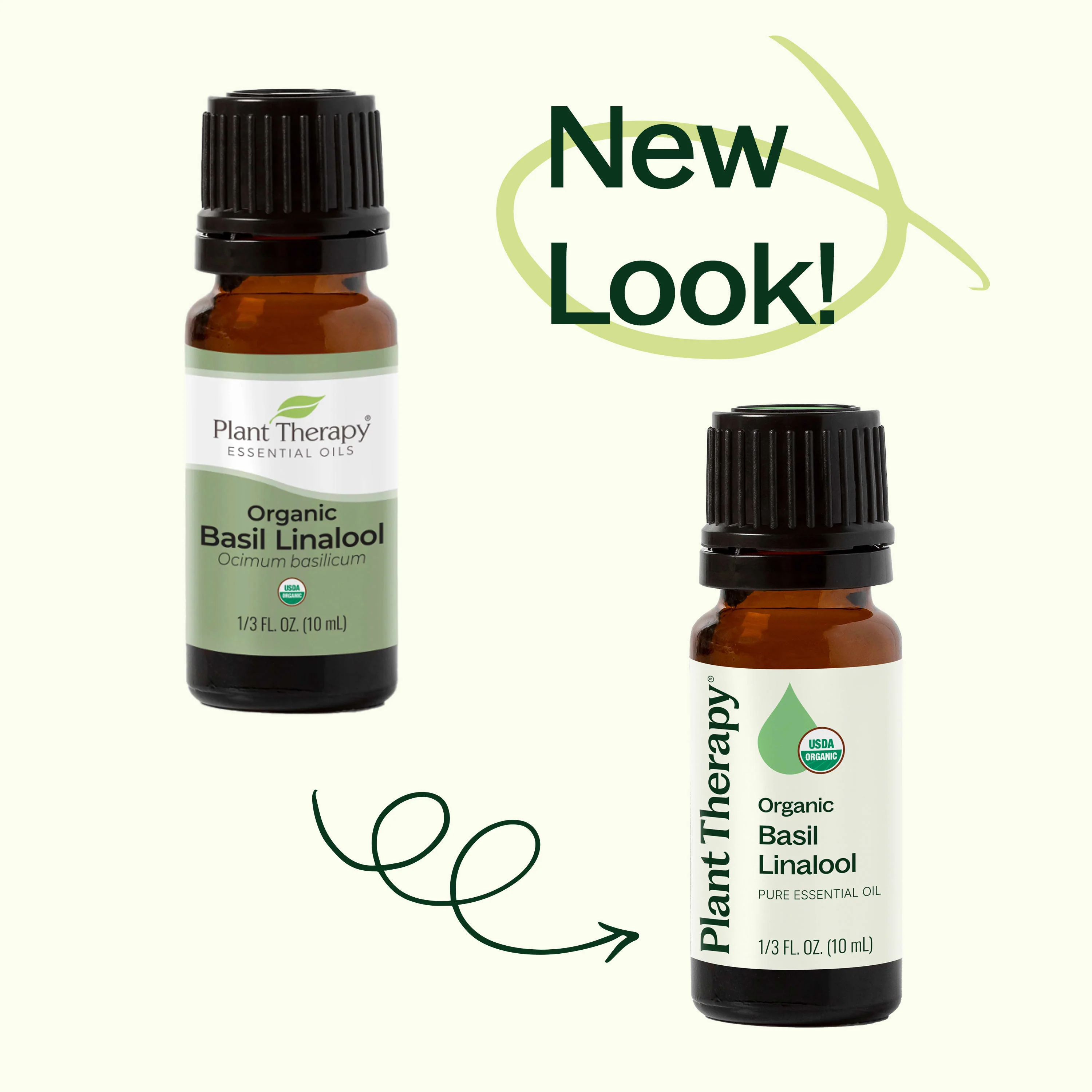 Organic Basil Linalool Essential Oil - Image 3