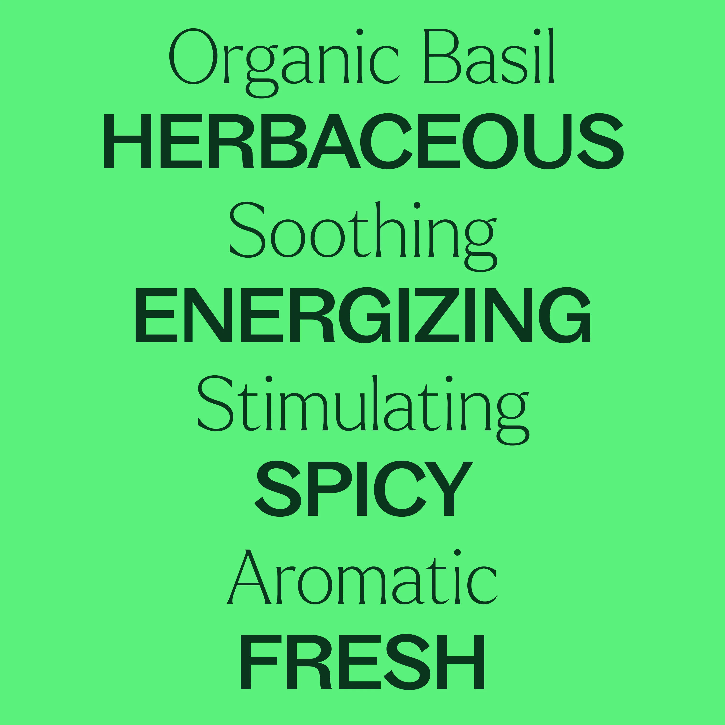 Organic Basil Linalool Essential Oil - Image 6