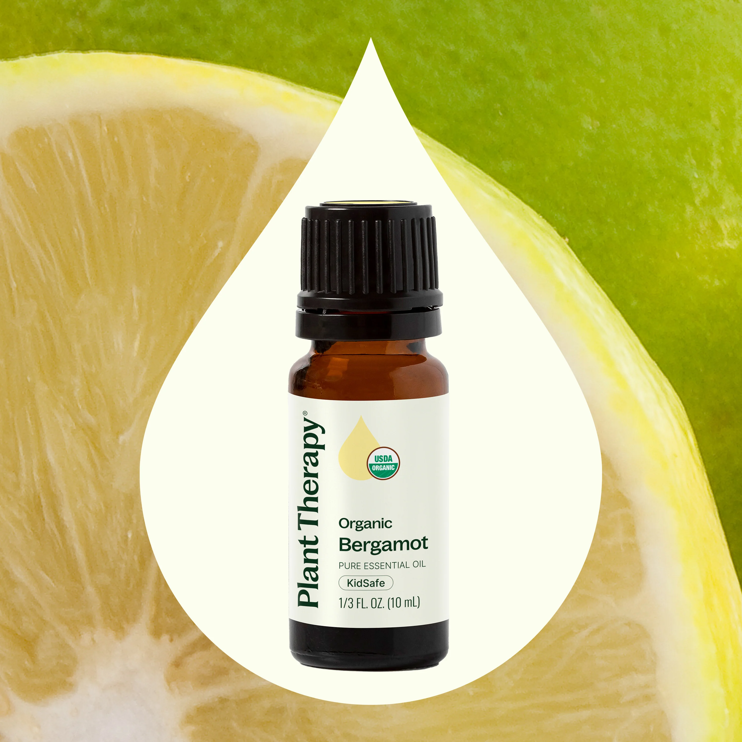 Organic Bergamot Essential Oil - Image 2