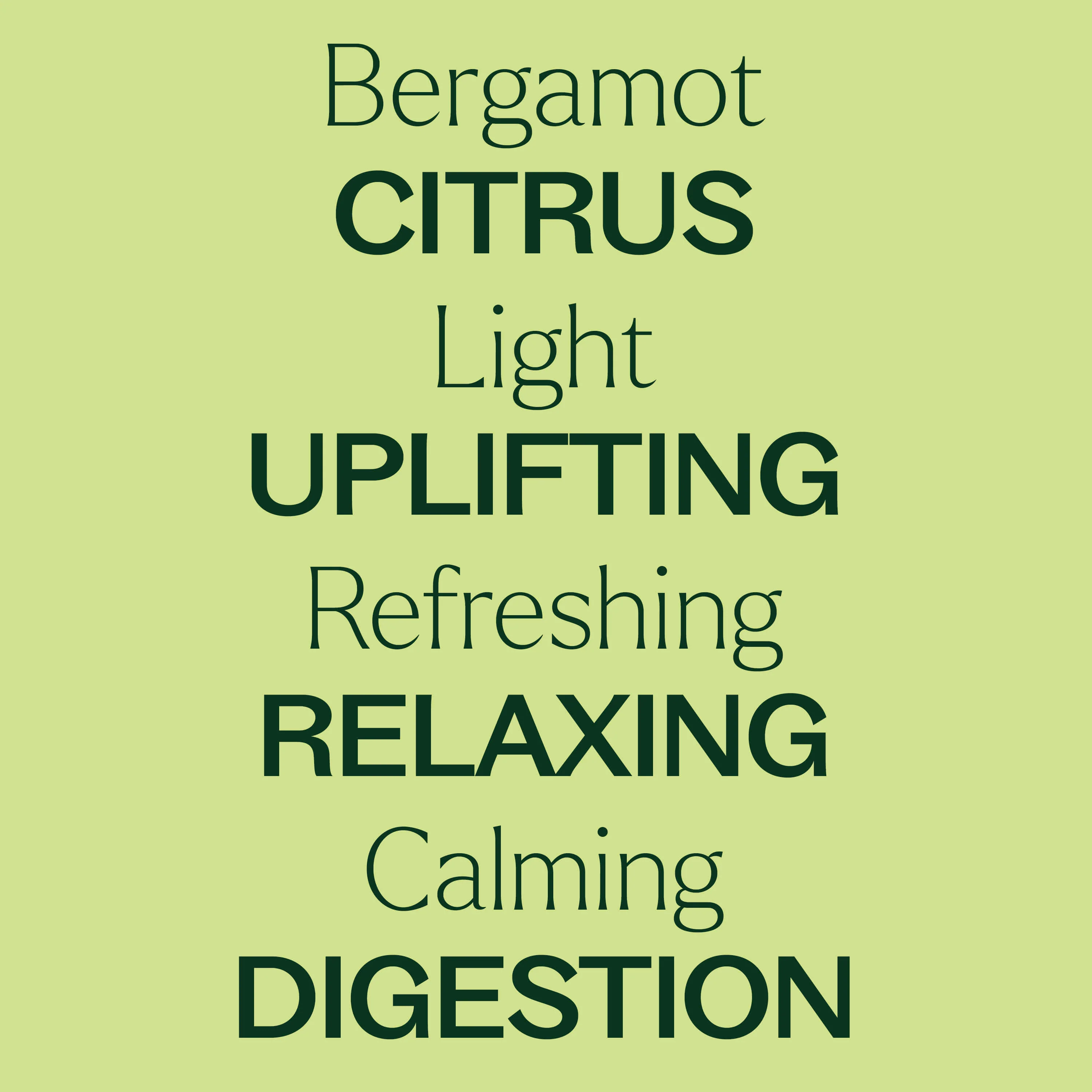 Organic Bergamot Essential Oil - Image 6