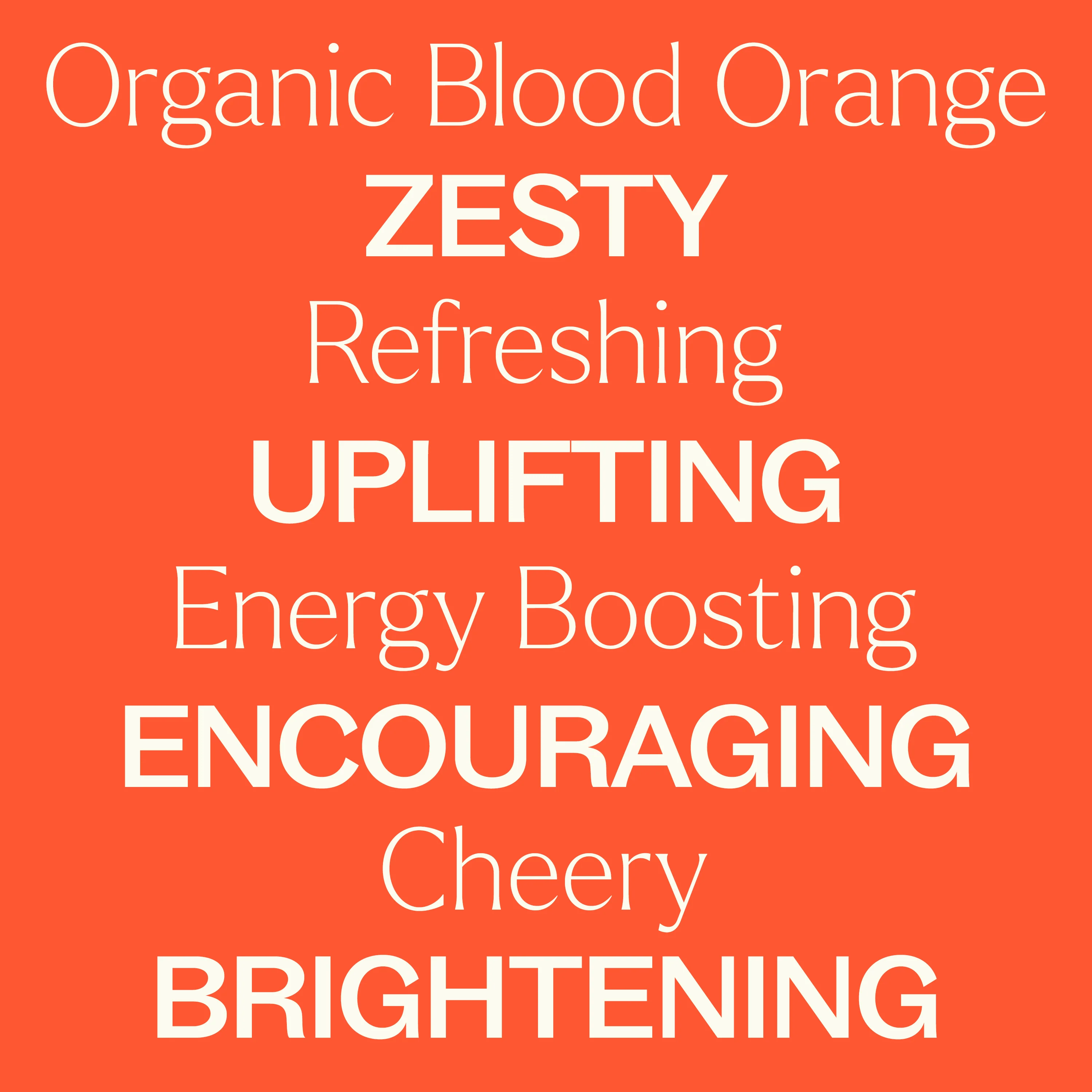 Organic Blood Orange Essential Oil - Image 4