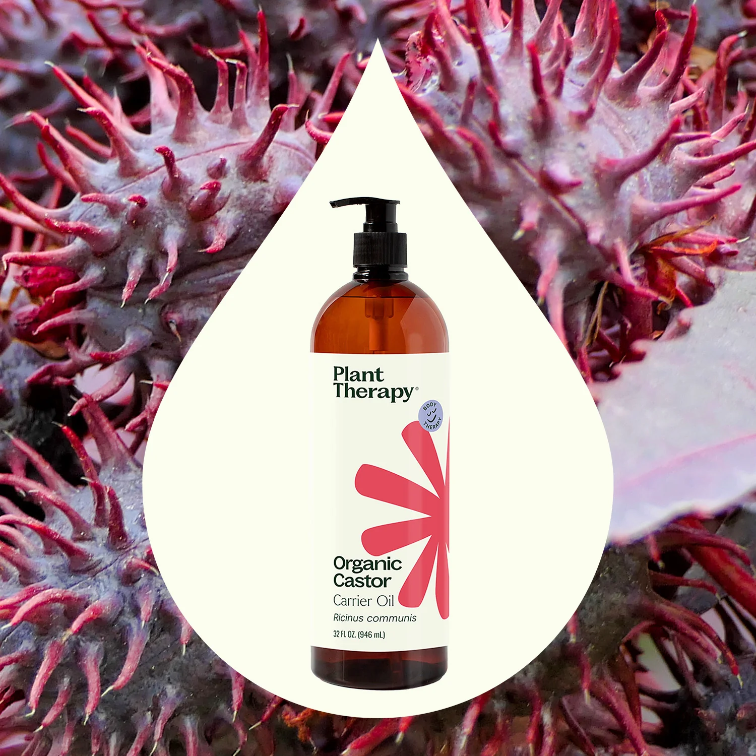 Organic Castor Carrier Oil - Image 2