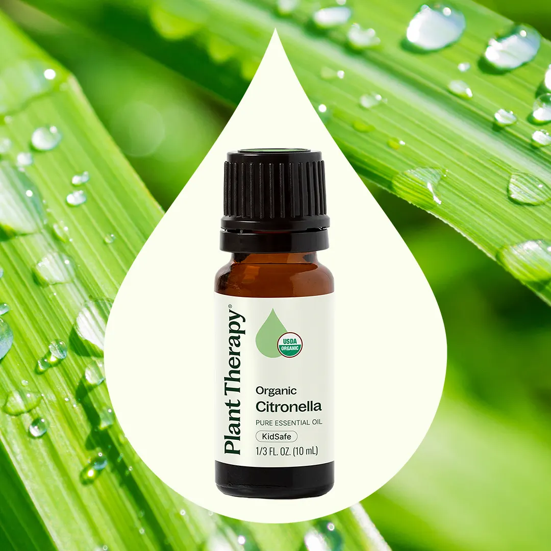 Organic Citronella Essential Oil - Image 2