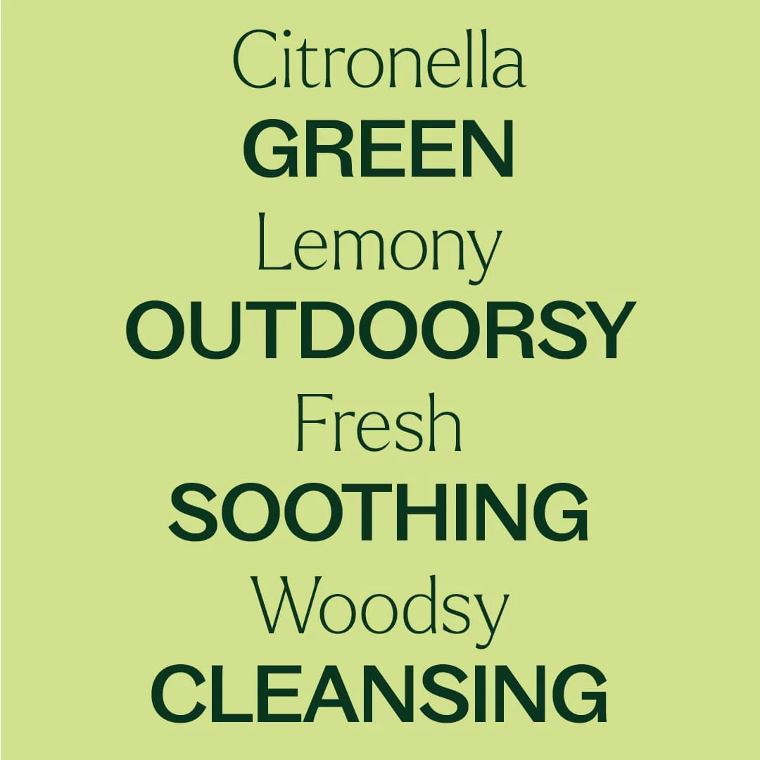 Organic Citronella Essential Oil - Image 5