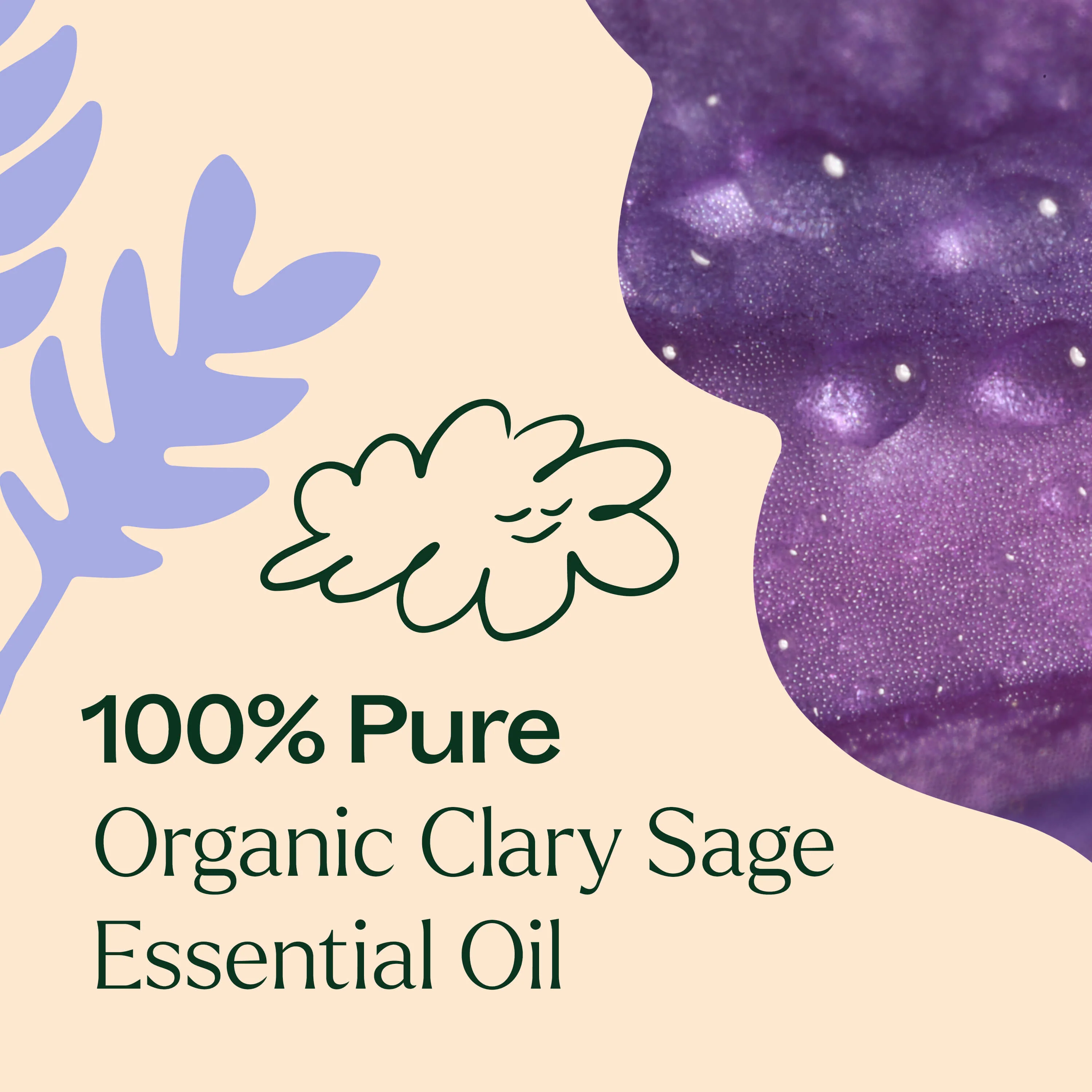 Organic Clary Sage Essential Oil - Image 4