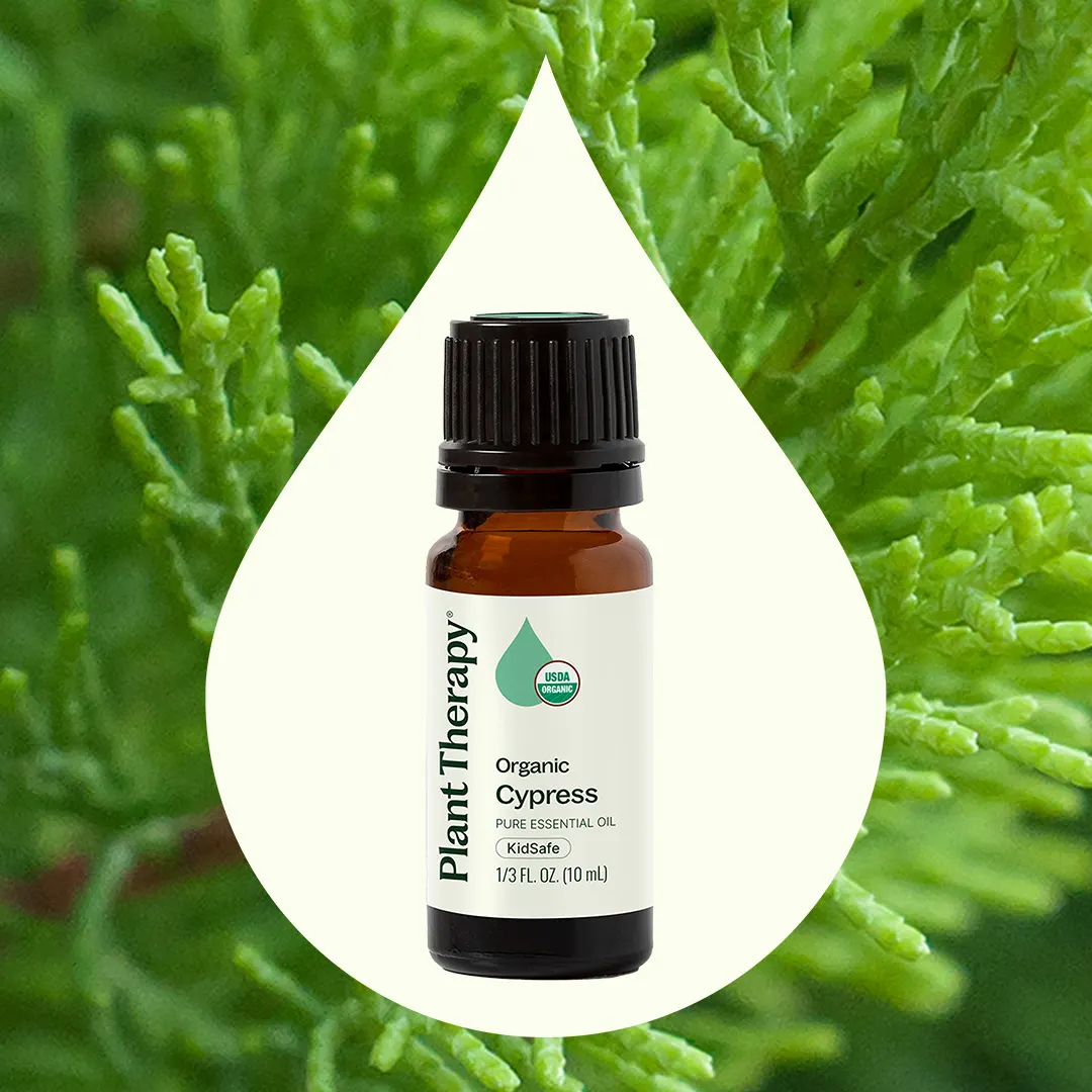 Organic Cypress Essential Oil - Image 2