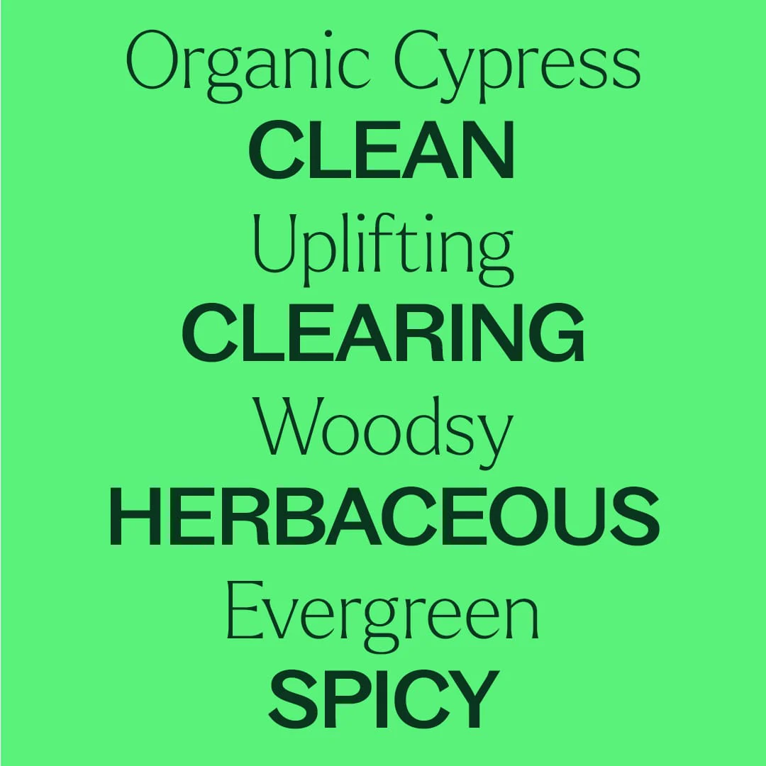 Organic Cypress Essential Oil - Image 5