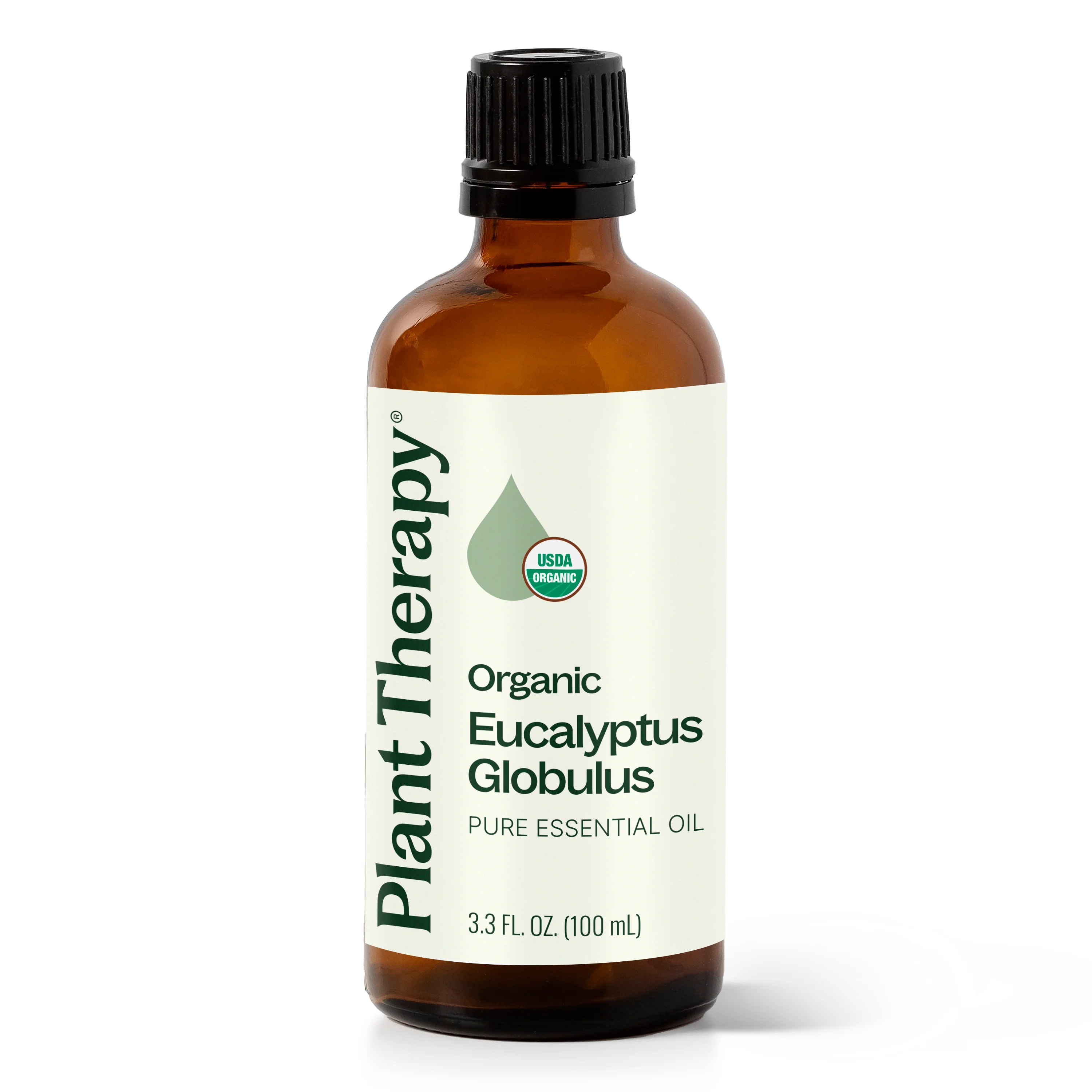 Organic Eucalyptus Globulus Essential Oil - Image 13