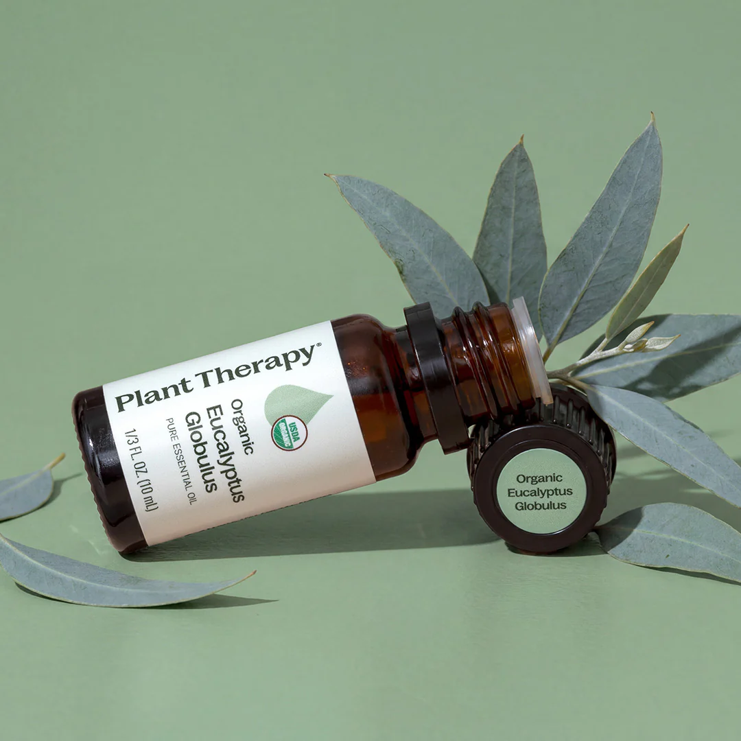 Organic Eucalyptus Globulus Essential Oil - Image 8