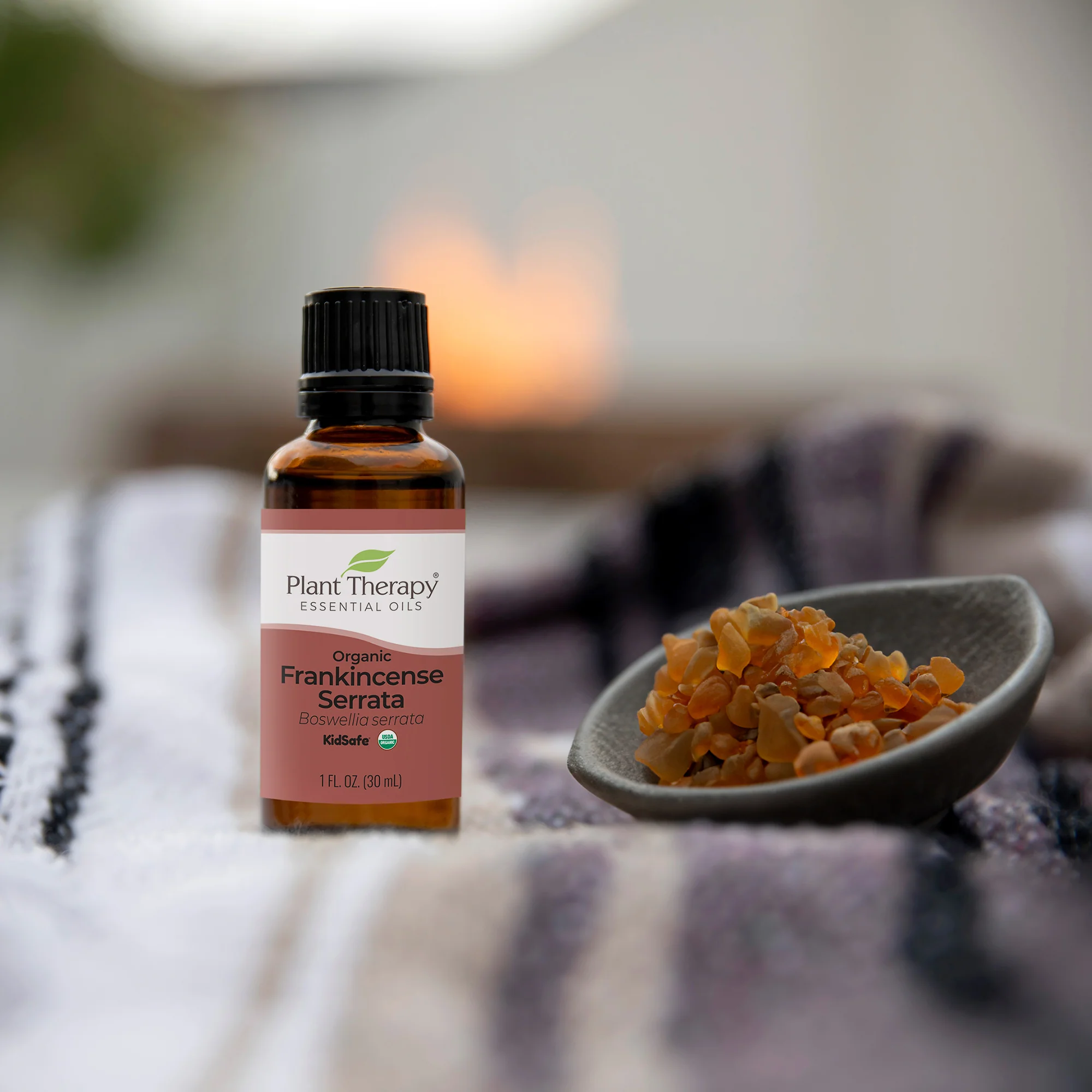 Organic Frankincense Serrata Essential Oil - Image 6
