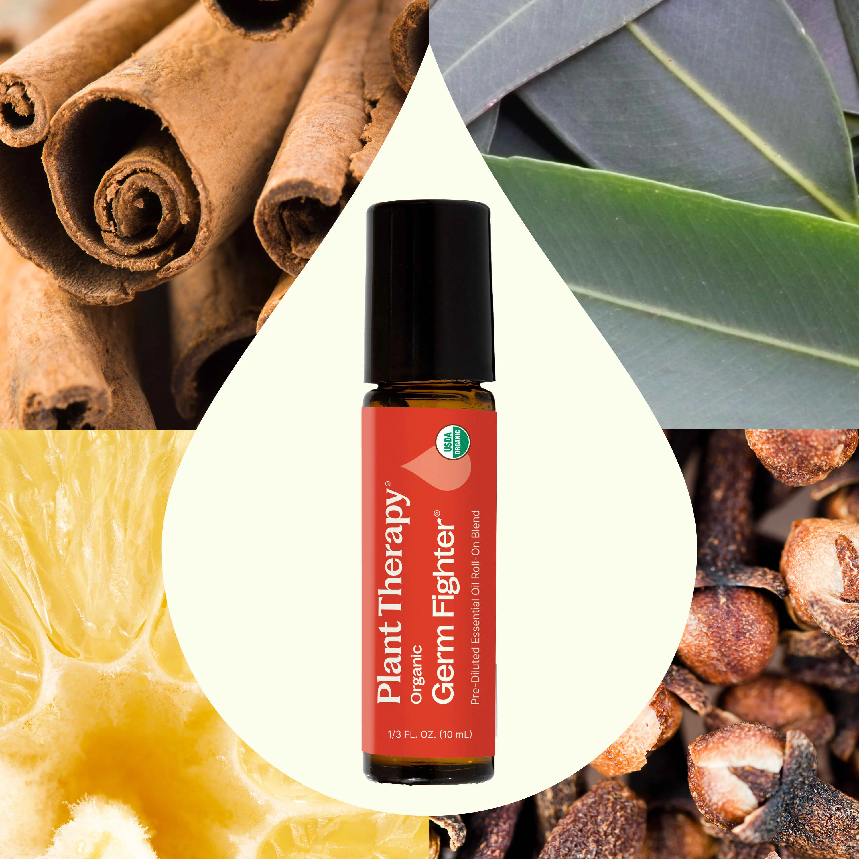 Organic Germ Fighter Essential Oil Blend Pre-Diluted Roll-On - Image 2