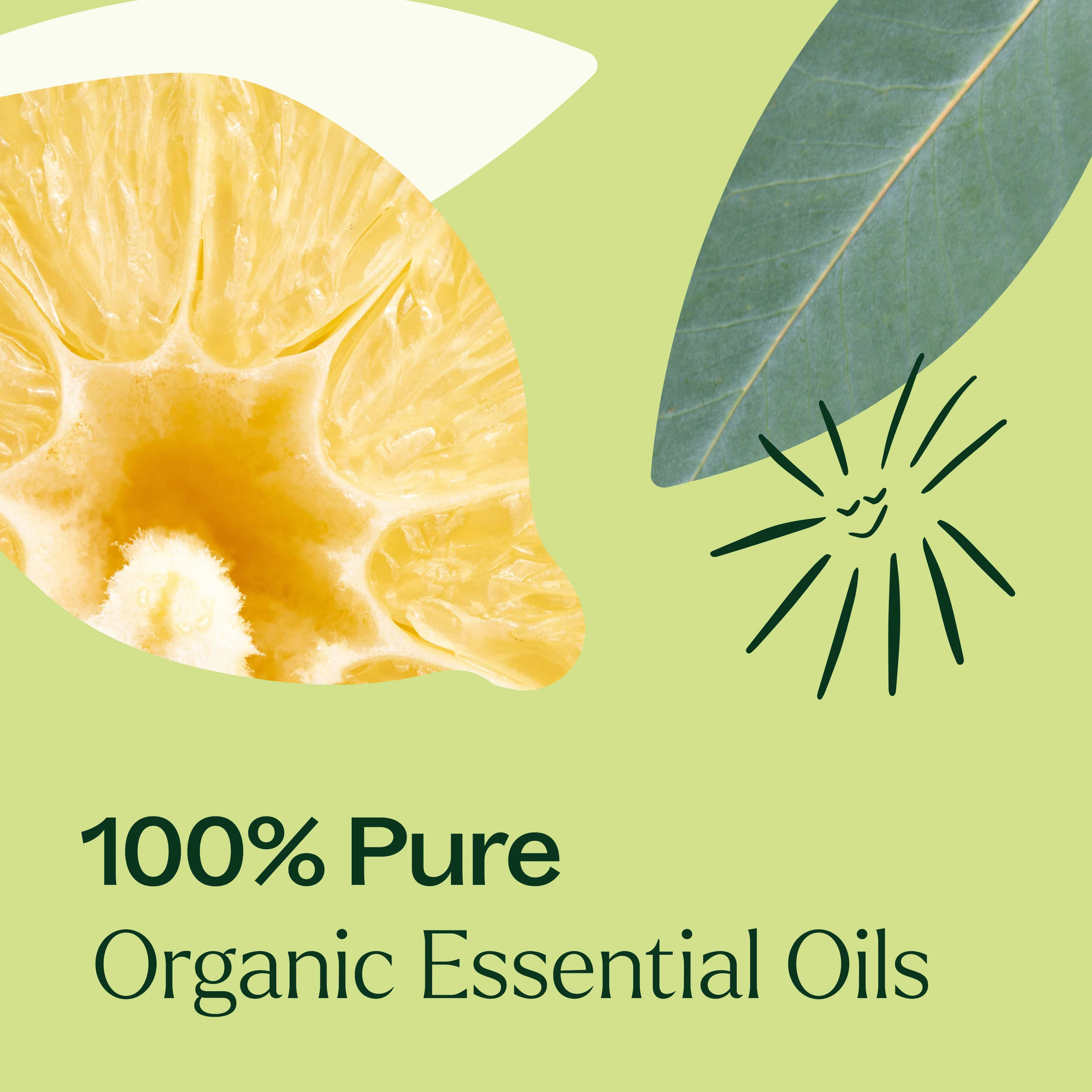 Organic Immune Aid Essential Oil Blend - Image 6