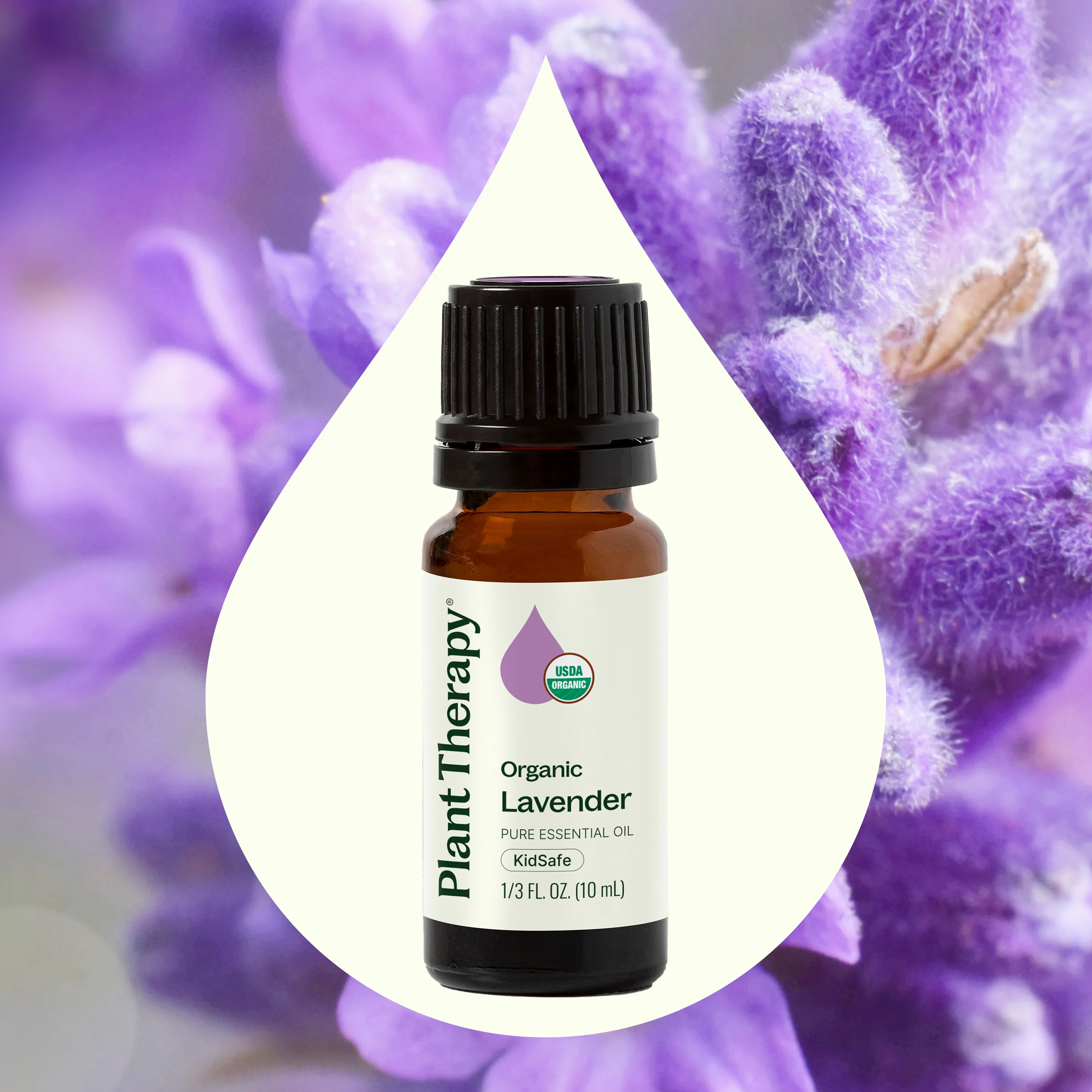 Organic Lavender Essential Oil - Image 4