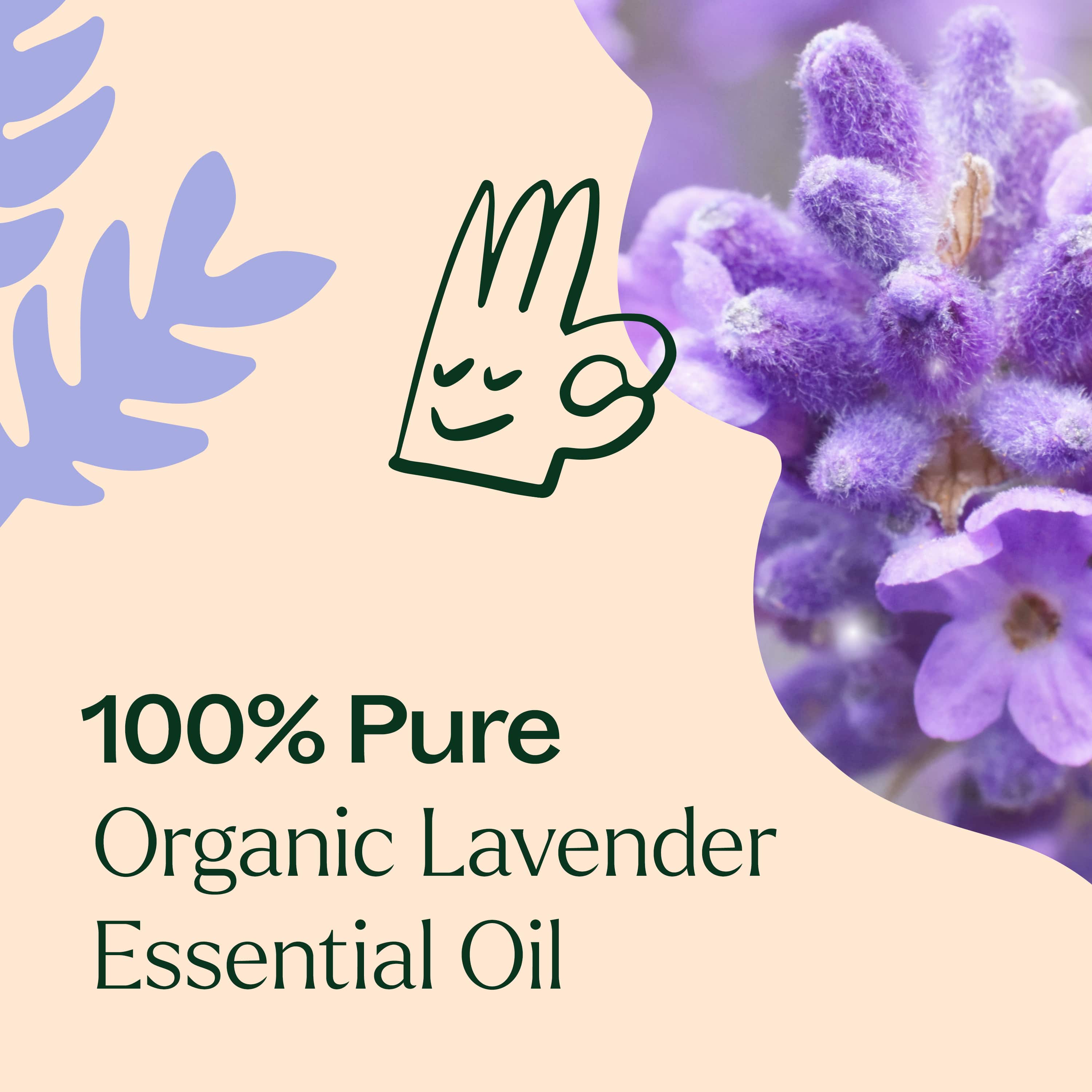Organic Lavender Essential Oil - Image 6