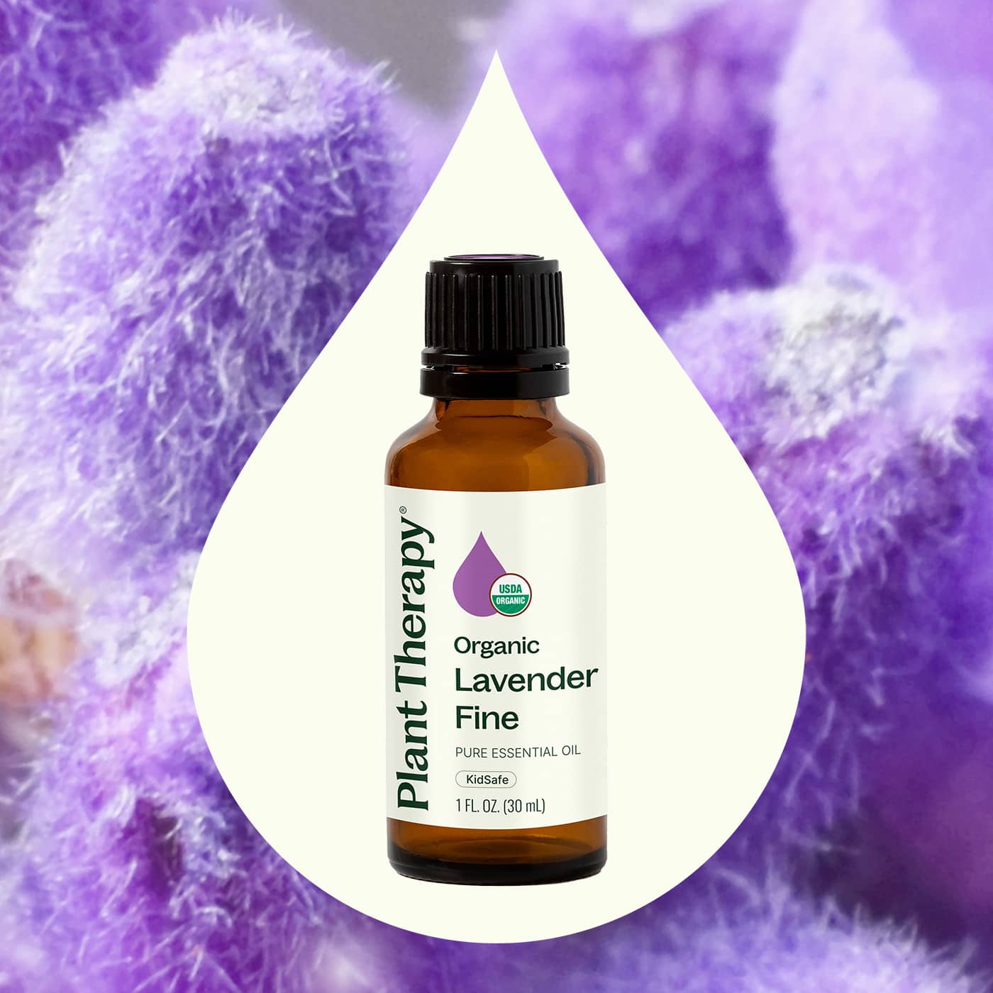 Organic Lavender Fine Essential Oil - Image 4