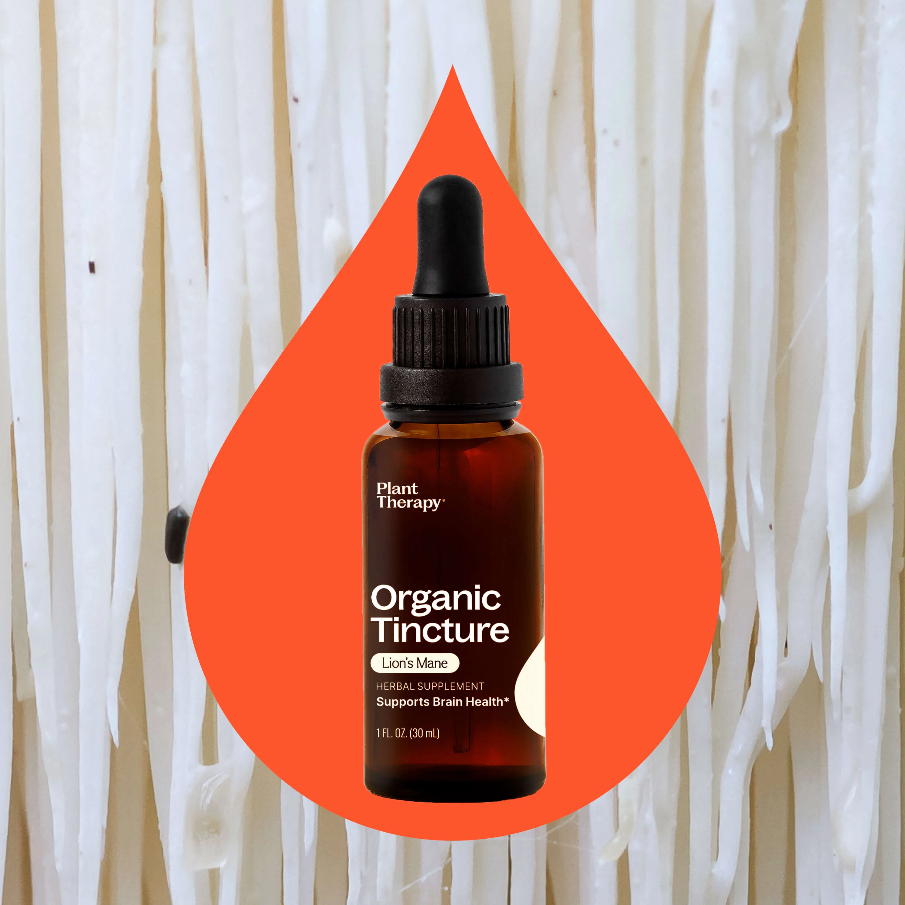 Organic Lion's Mane Tincture - Image 2