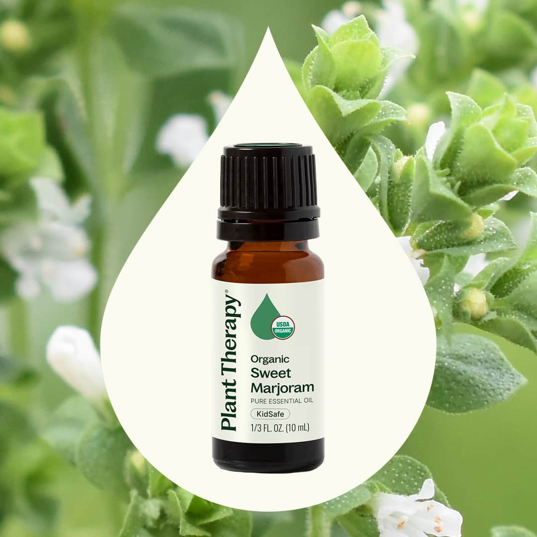 Organic Sweet Marjoram Essential Oil - Image 2