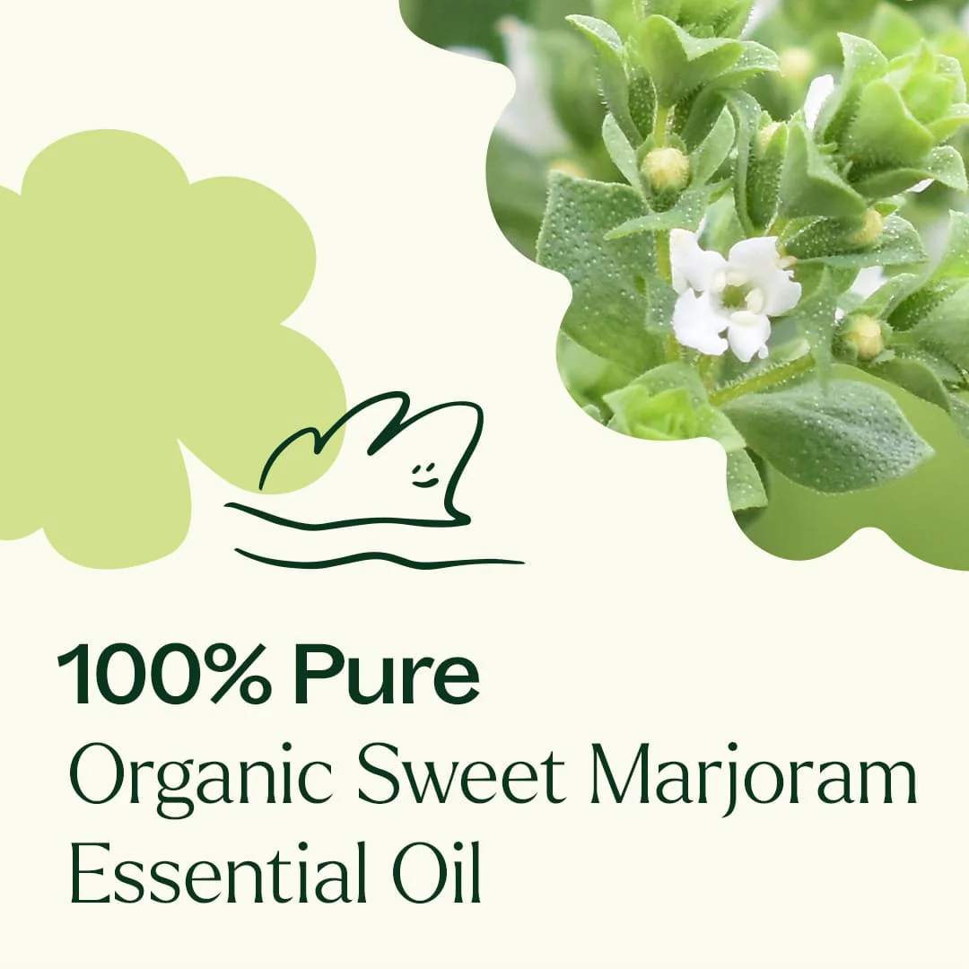 Organic Sweet Marjoram Essential Oil - Image 5