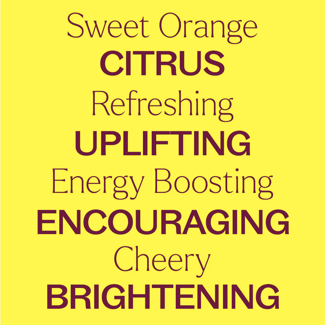 Organic Sweet Orange 5-Pack - Image 4