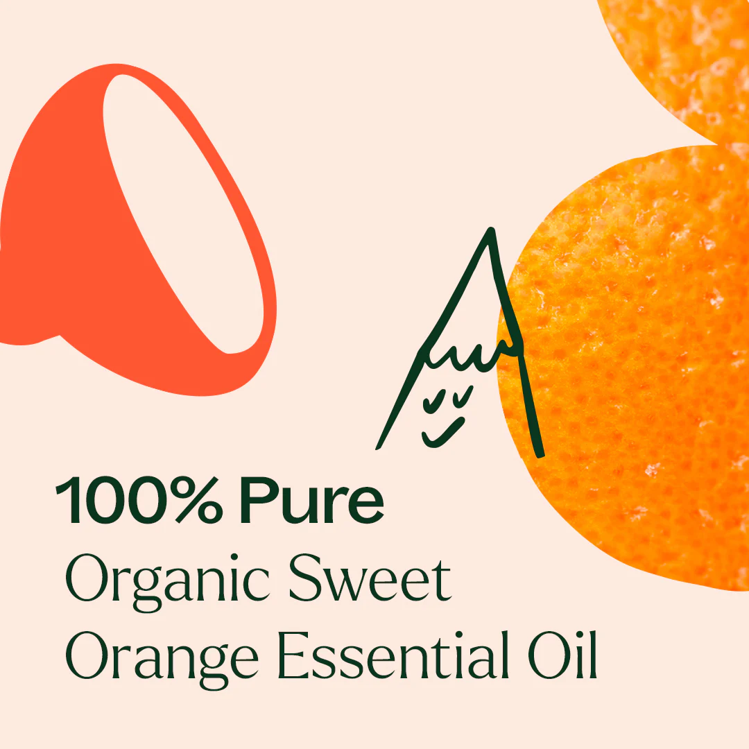 Organic Sweet Orange 5-Pack - Image 6