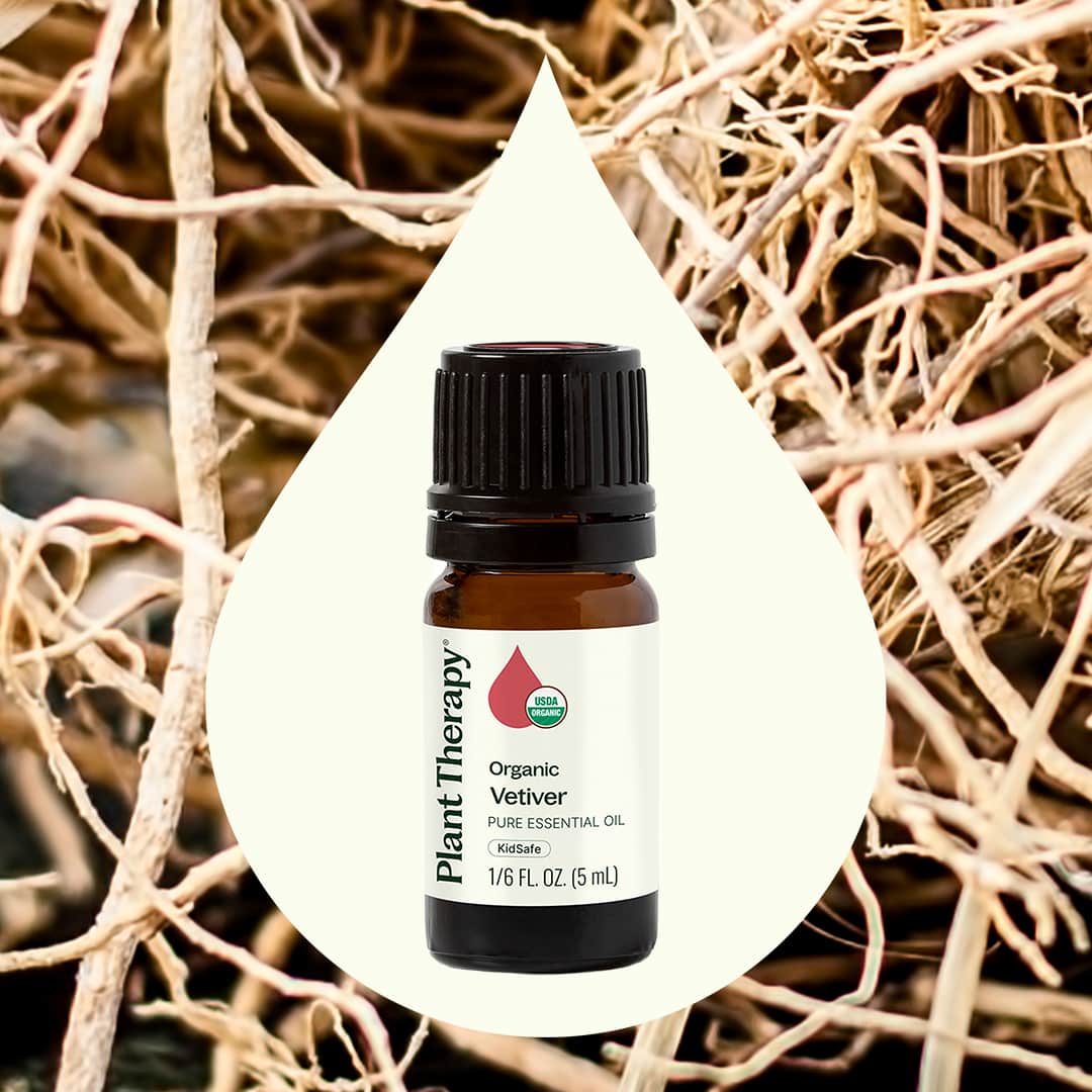 Organic Vetiver Essential Oil - Image 2