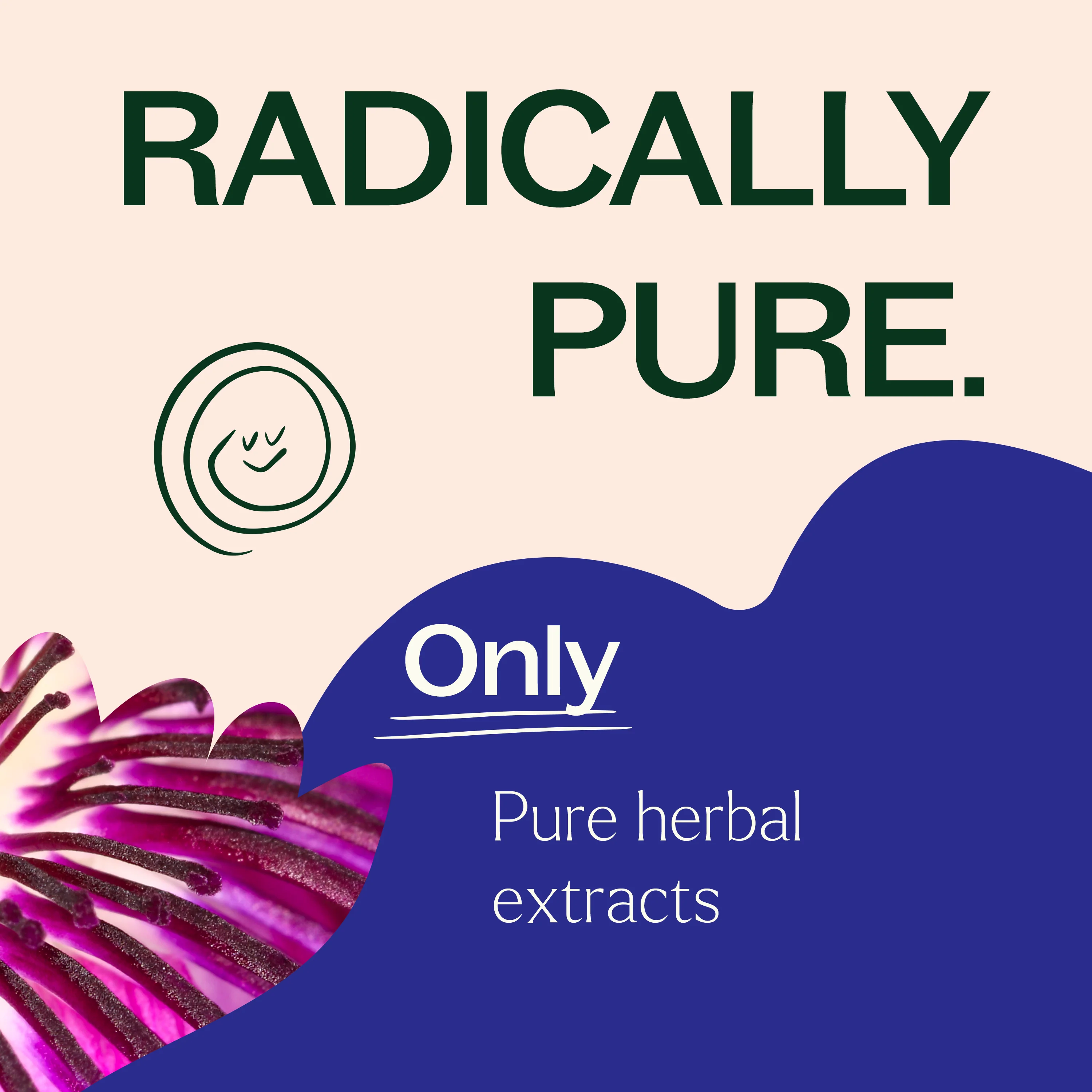 Passionflower Herbal Supplement - 120 Capsules - Image 5