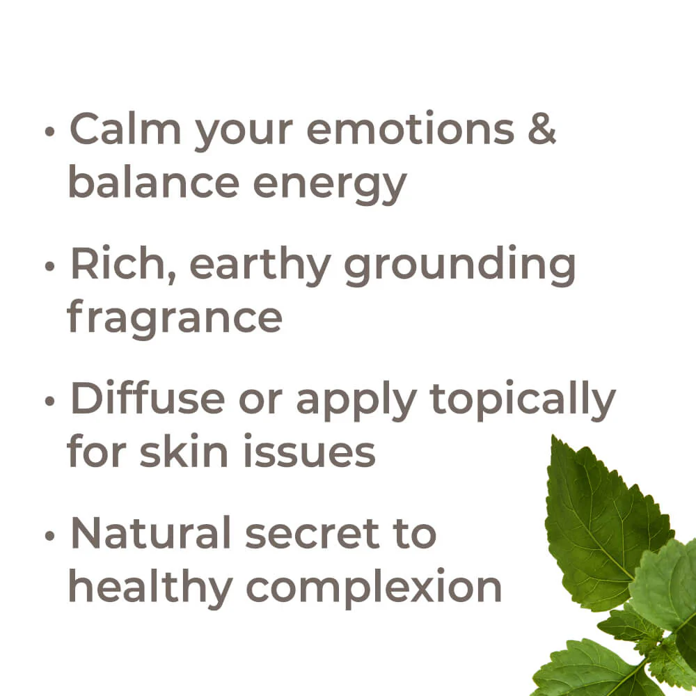 Patchouli Essential Oil Bulk - Image 2