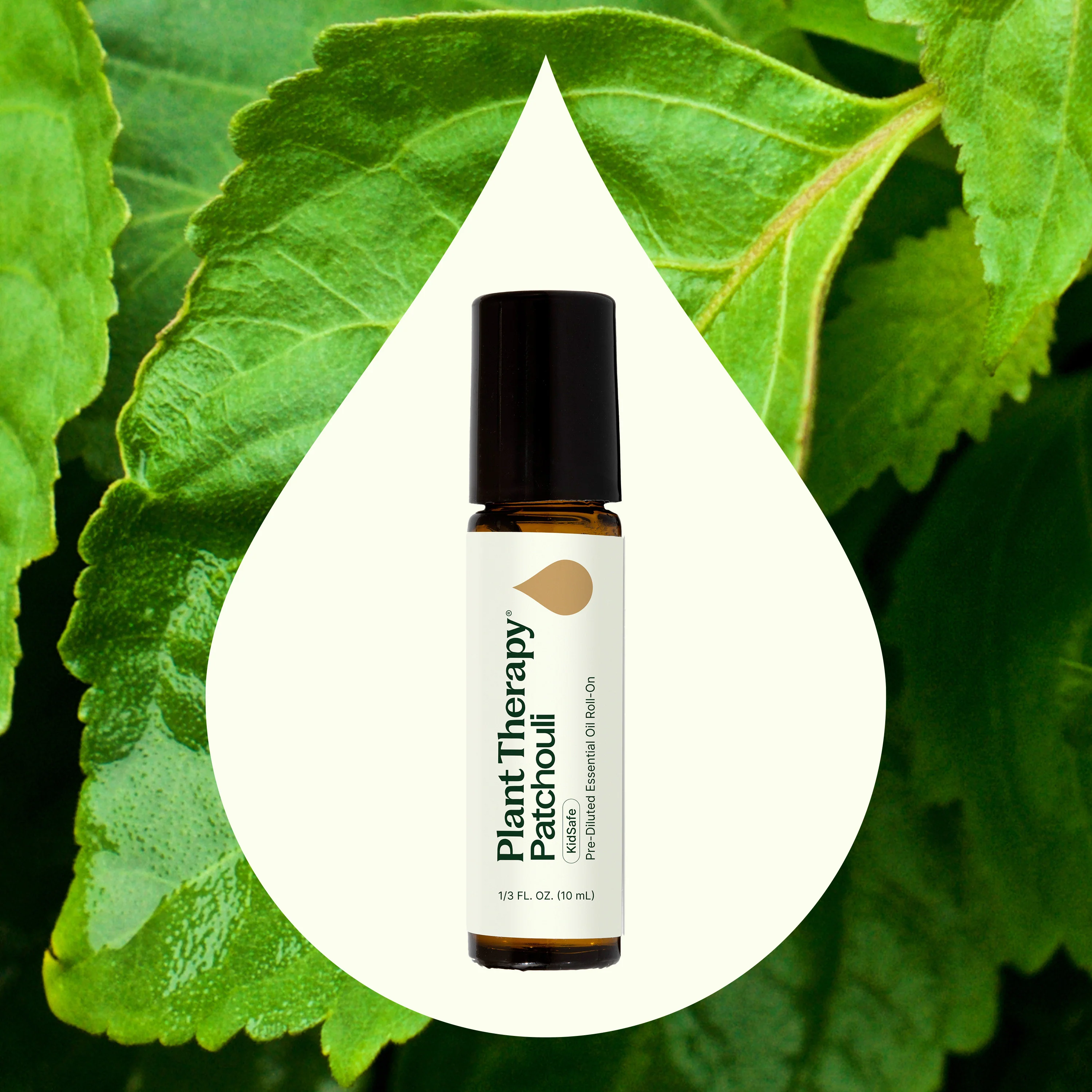 Patchouli Essential Oil Pre-Diluted Roll-On - Image 2