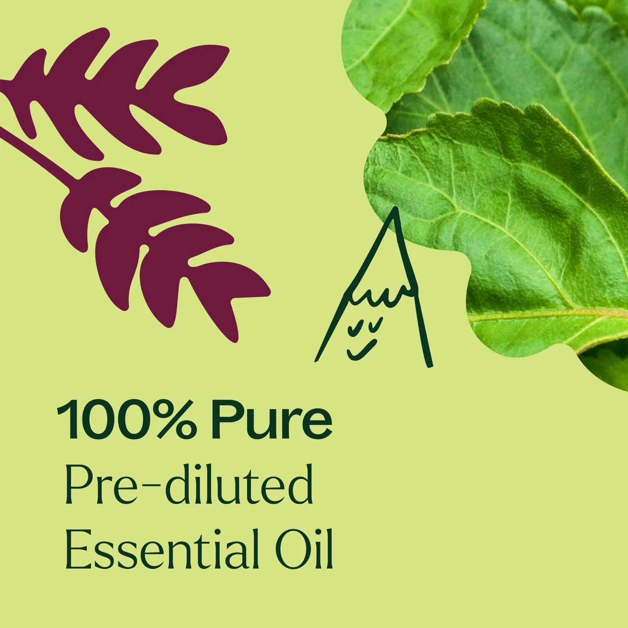 Patchouli Essential Oil Pre-Diluted Roll-On - Image 6