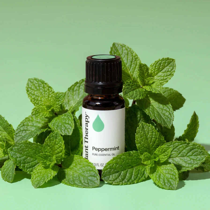 Peppermint Essential Oil - Image 10