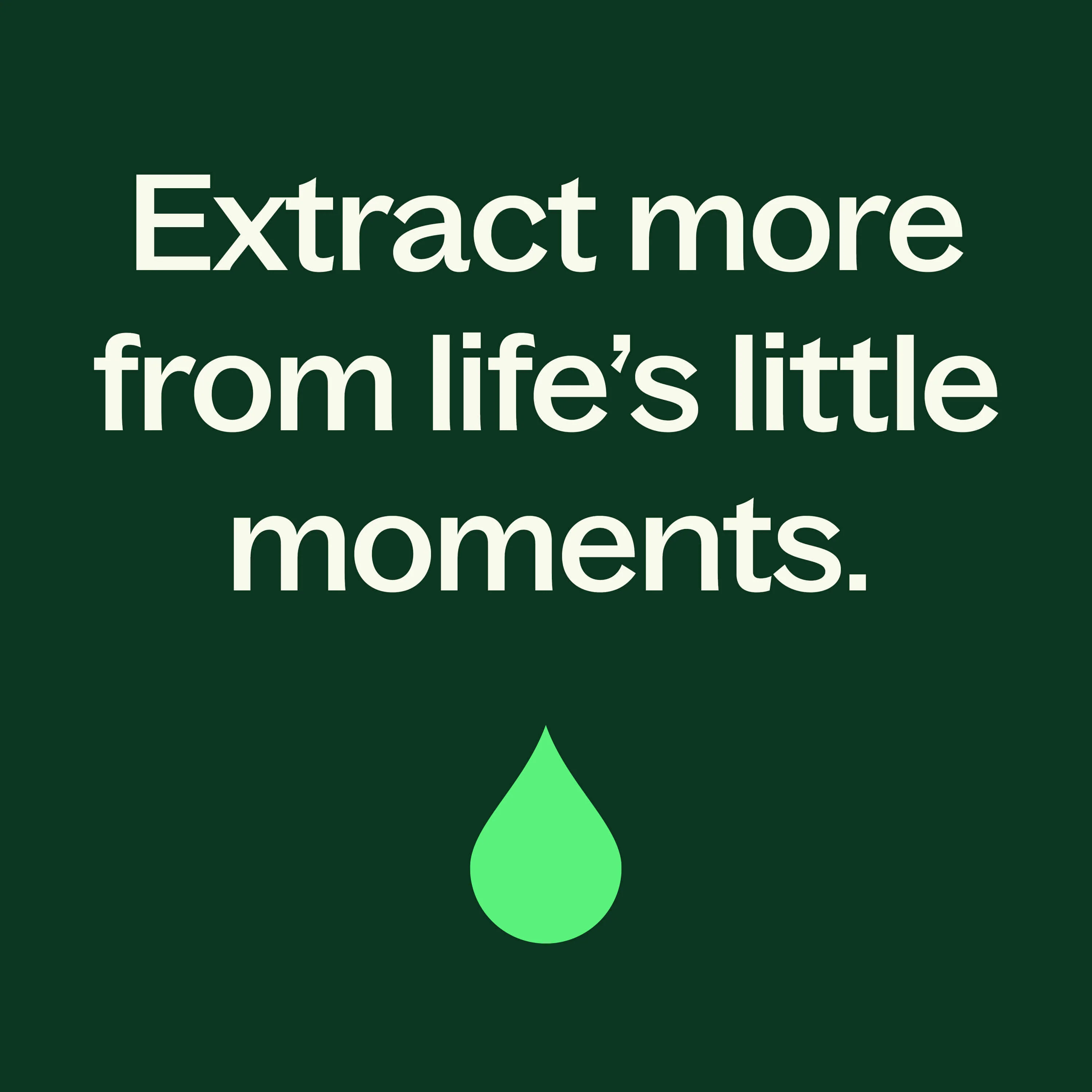 Peppermint Essential Oil - Image 11