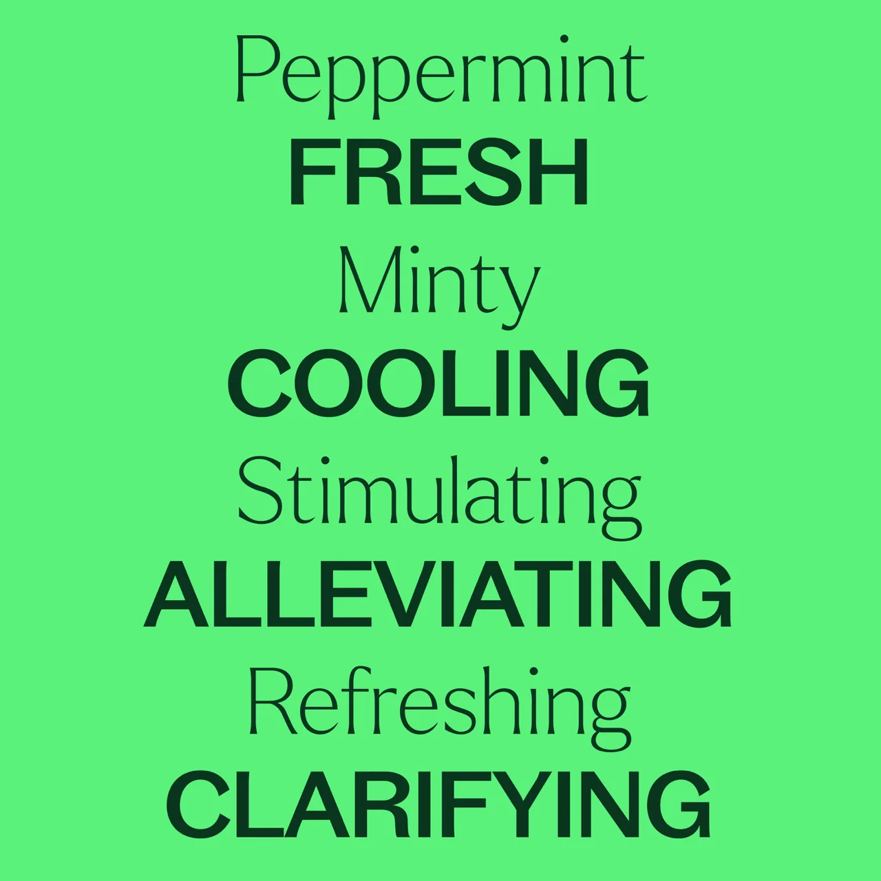 Peppermint Essential Oil - Image 5