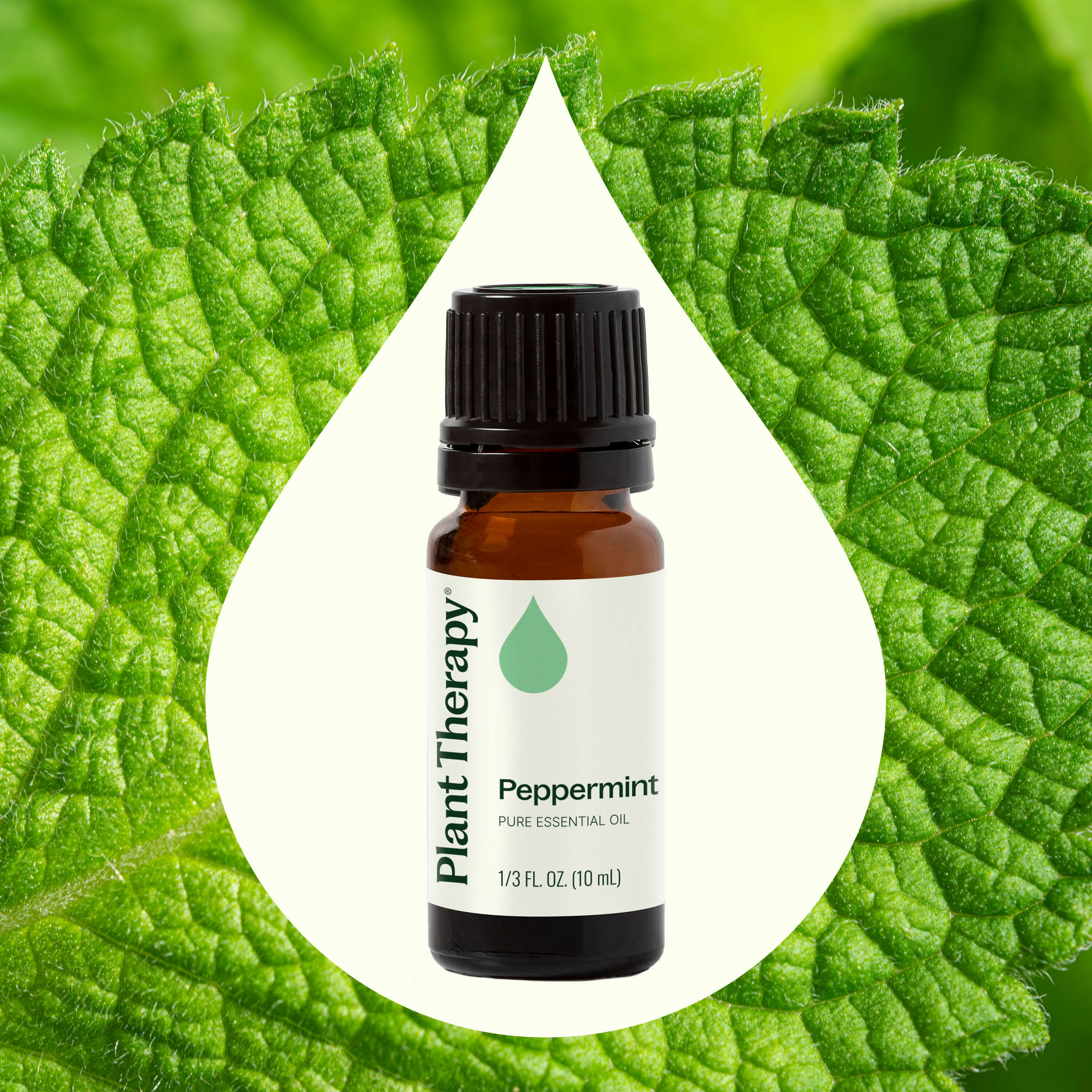 Peppermint Essential Oil - Image 6