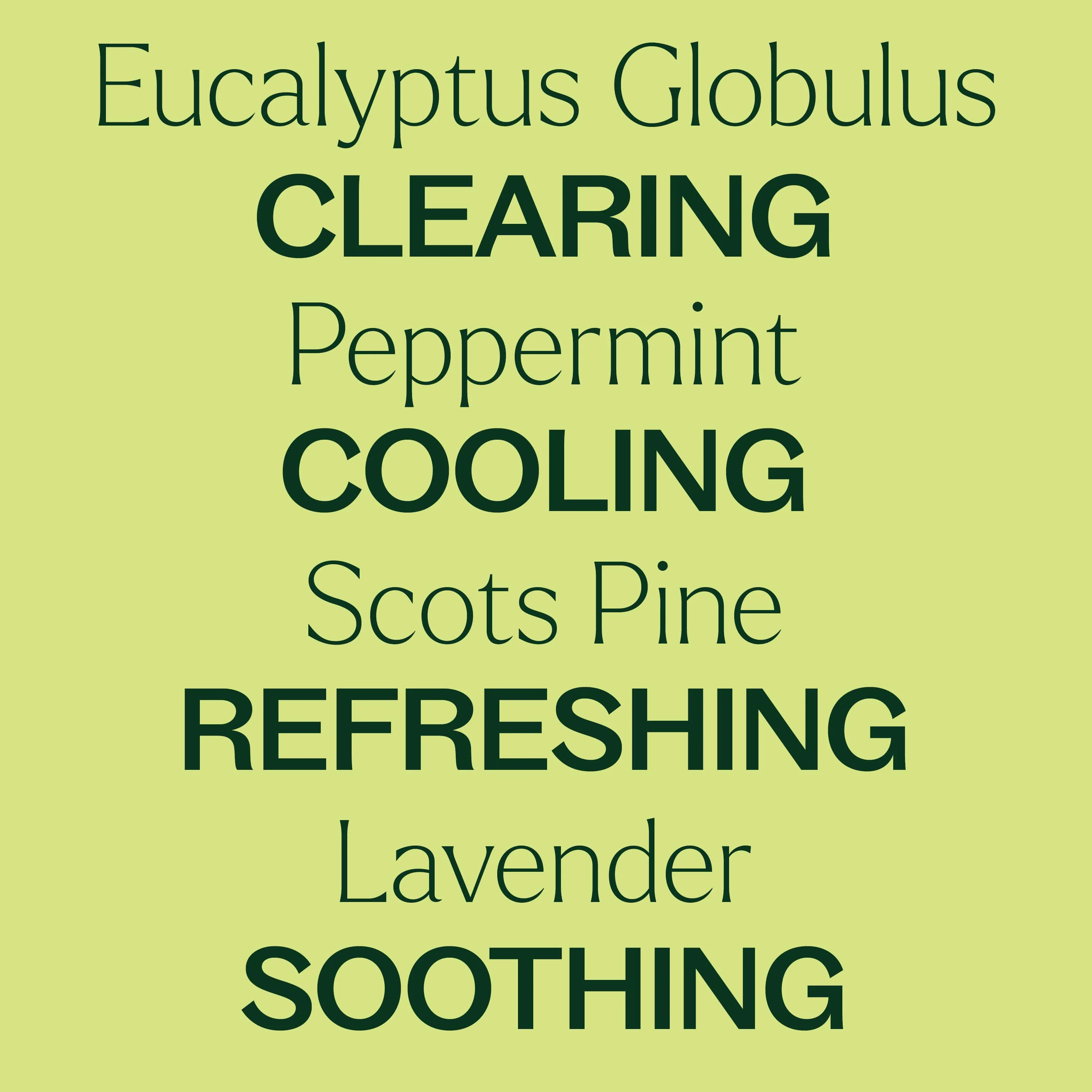 Respir Aid Essential Oil Blend - Image 5