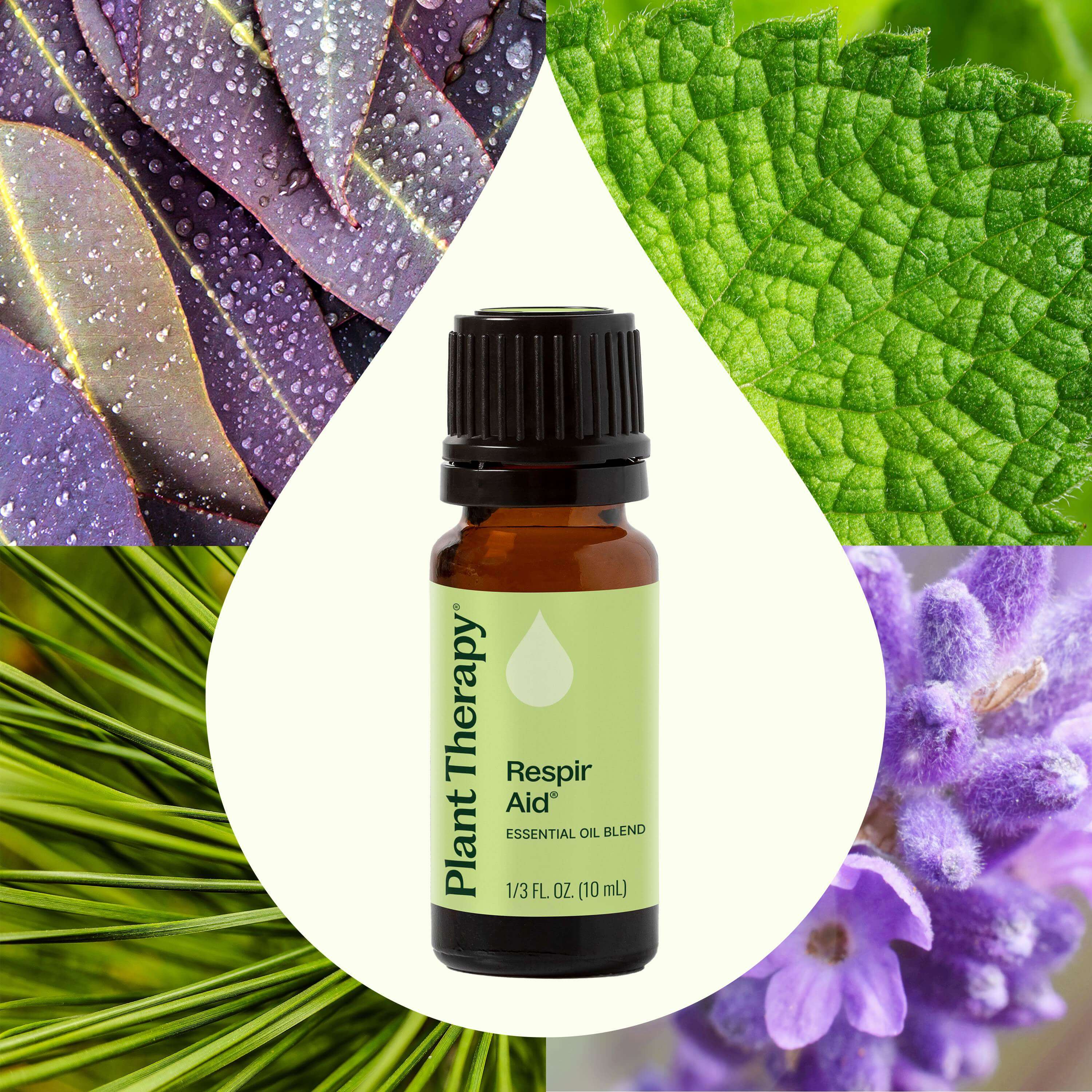 Respir Aid Essential Oil Blend - Image 6
