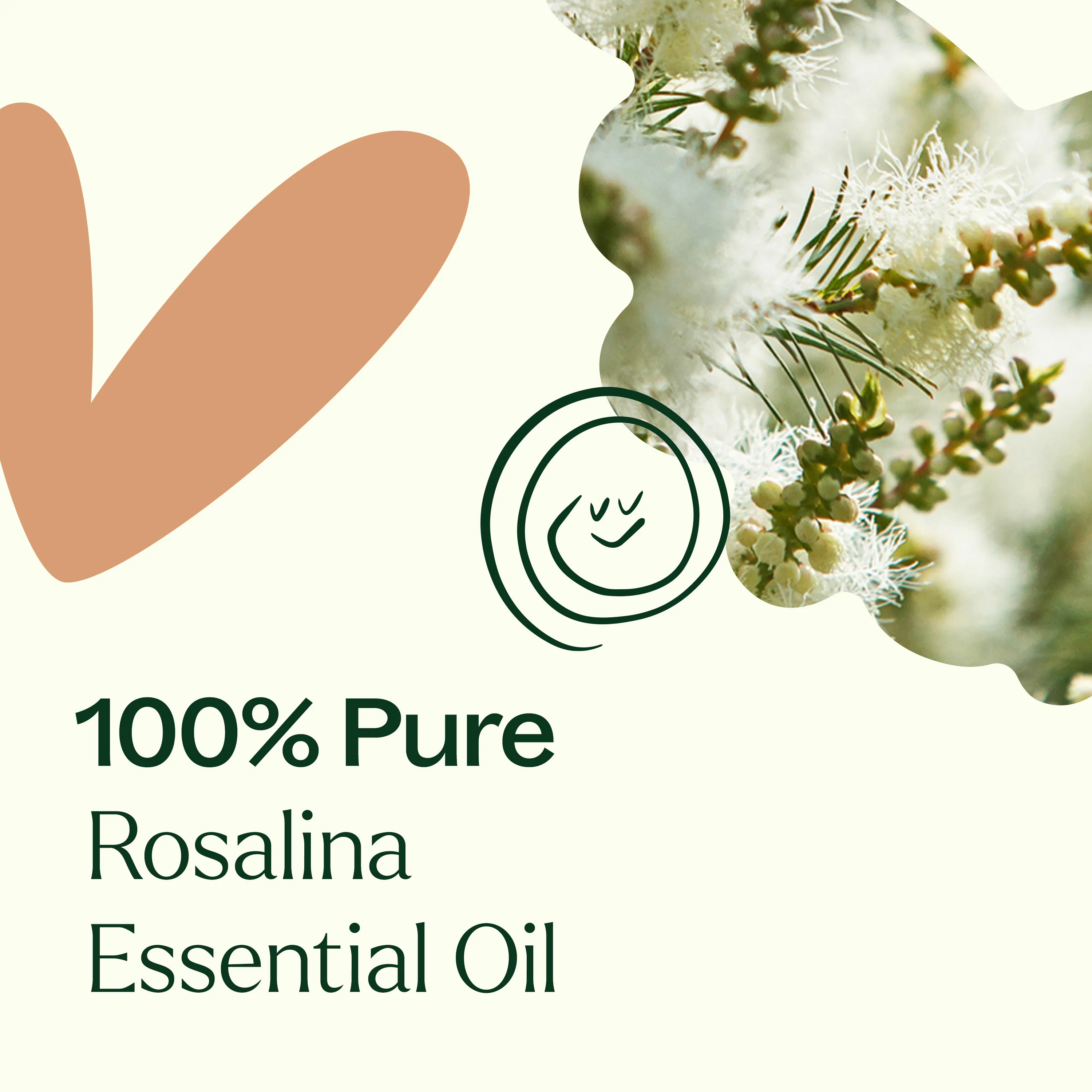 Rosalina Essential Oil - Image 5