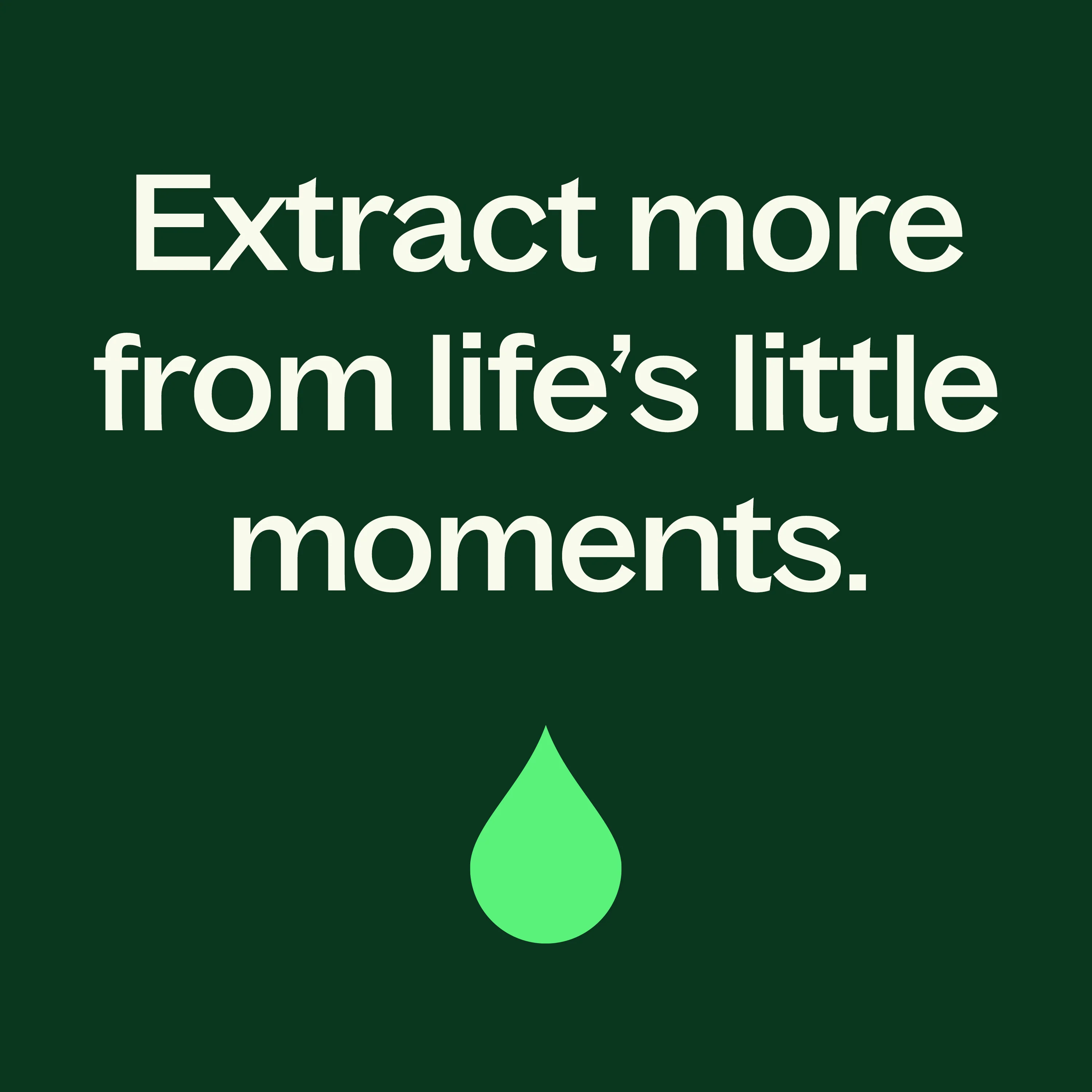 Rosalina Essential Oil - Image 7