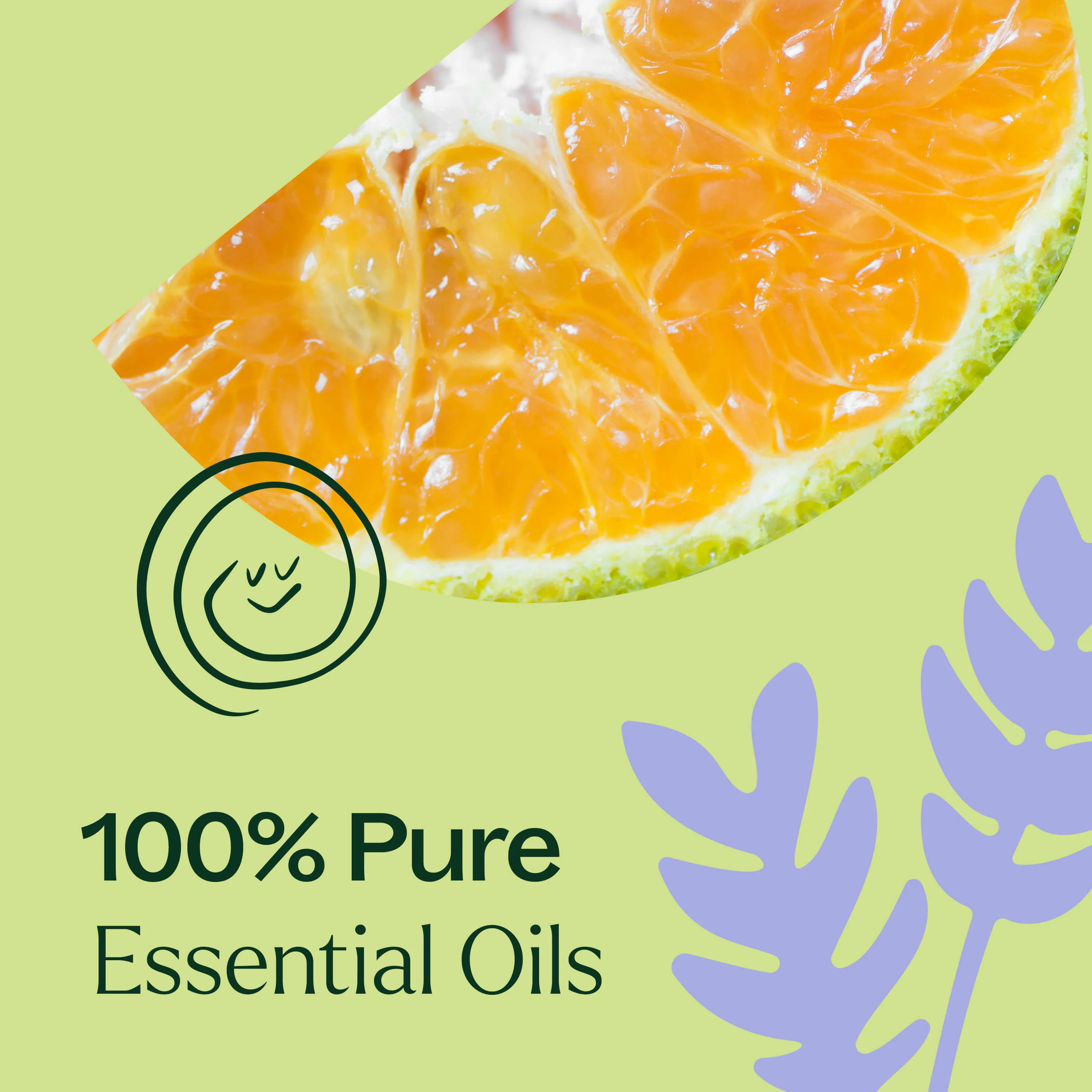 Sleep Tight Essential Oil Blend - Image 4