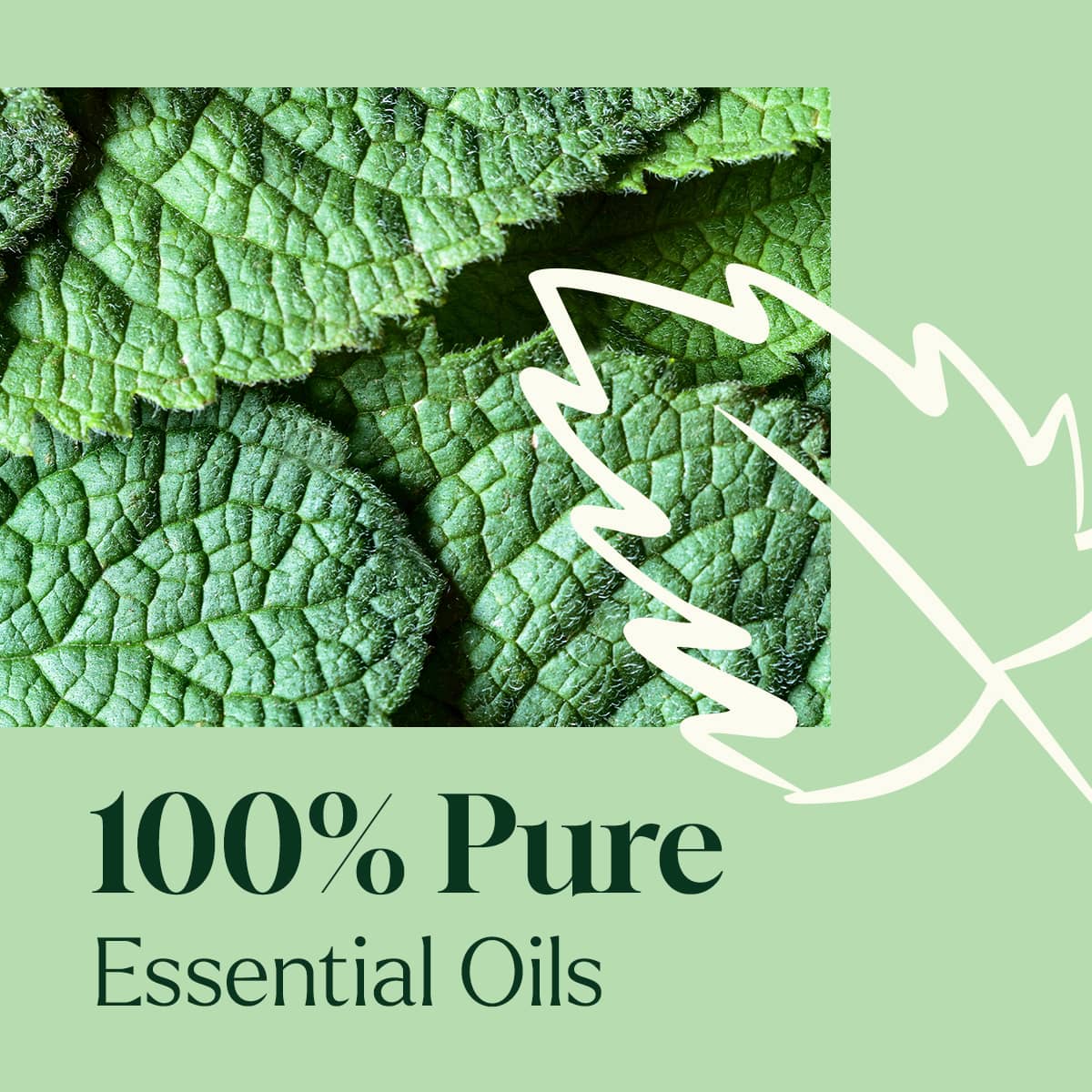 Sparkling Peppermint Laundry Essential Oil Blend - Image 3
