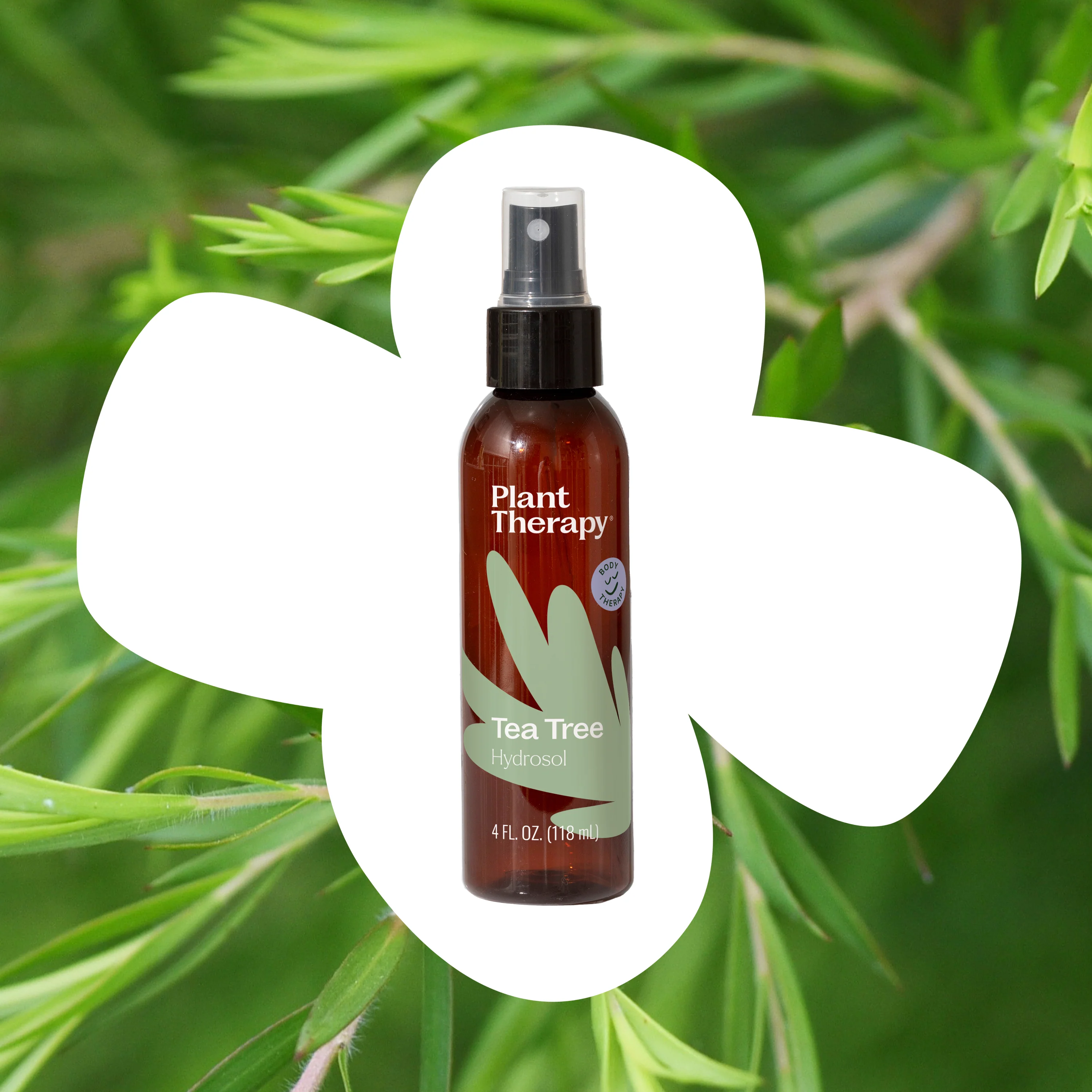 Tea Tree Hydrosol - Image 5