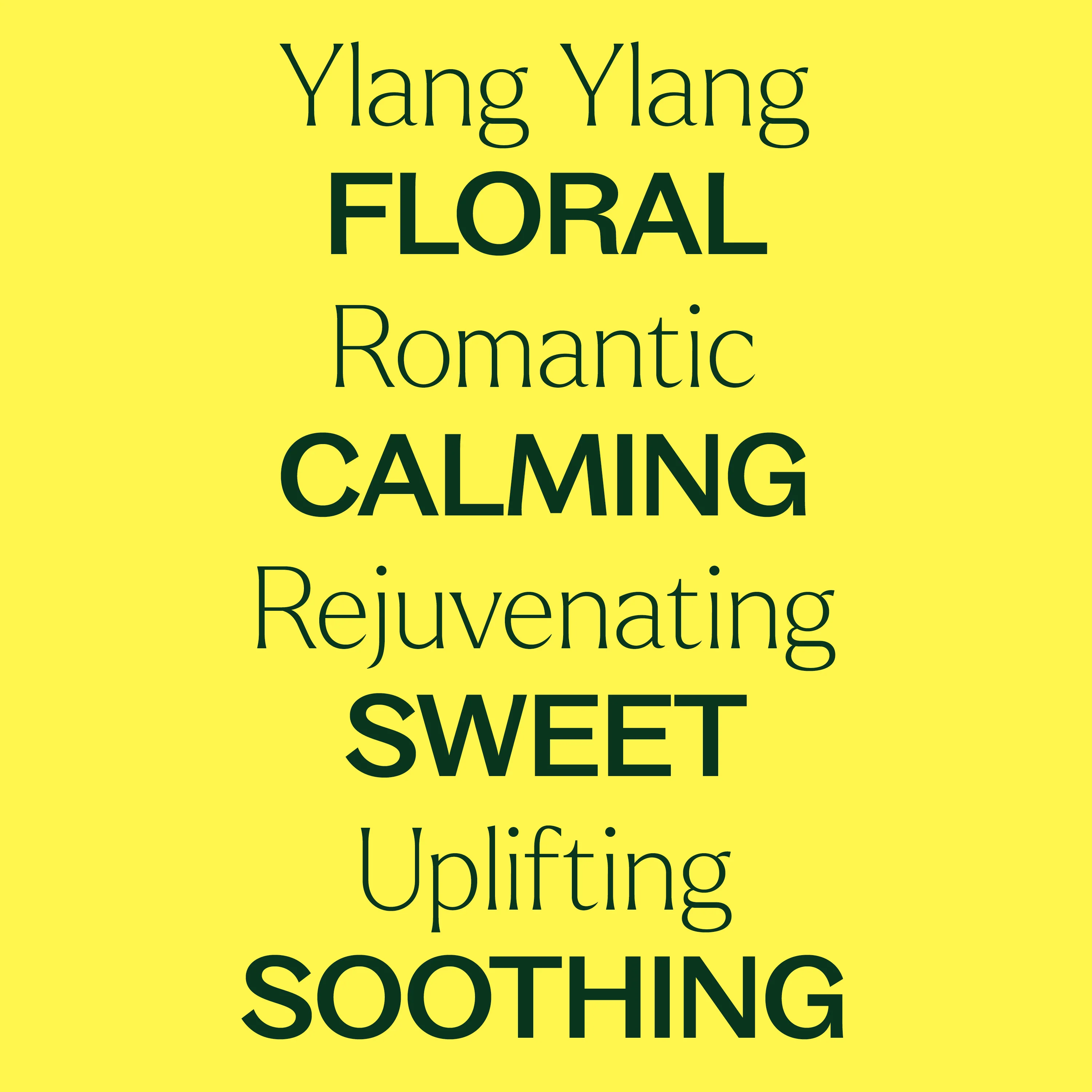 Ylang Ylang Complete Essential Oil - Image 4