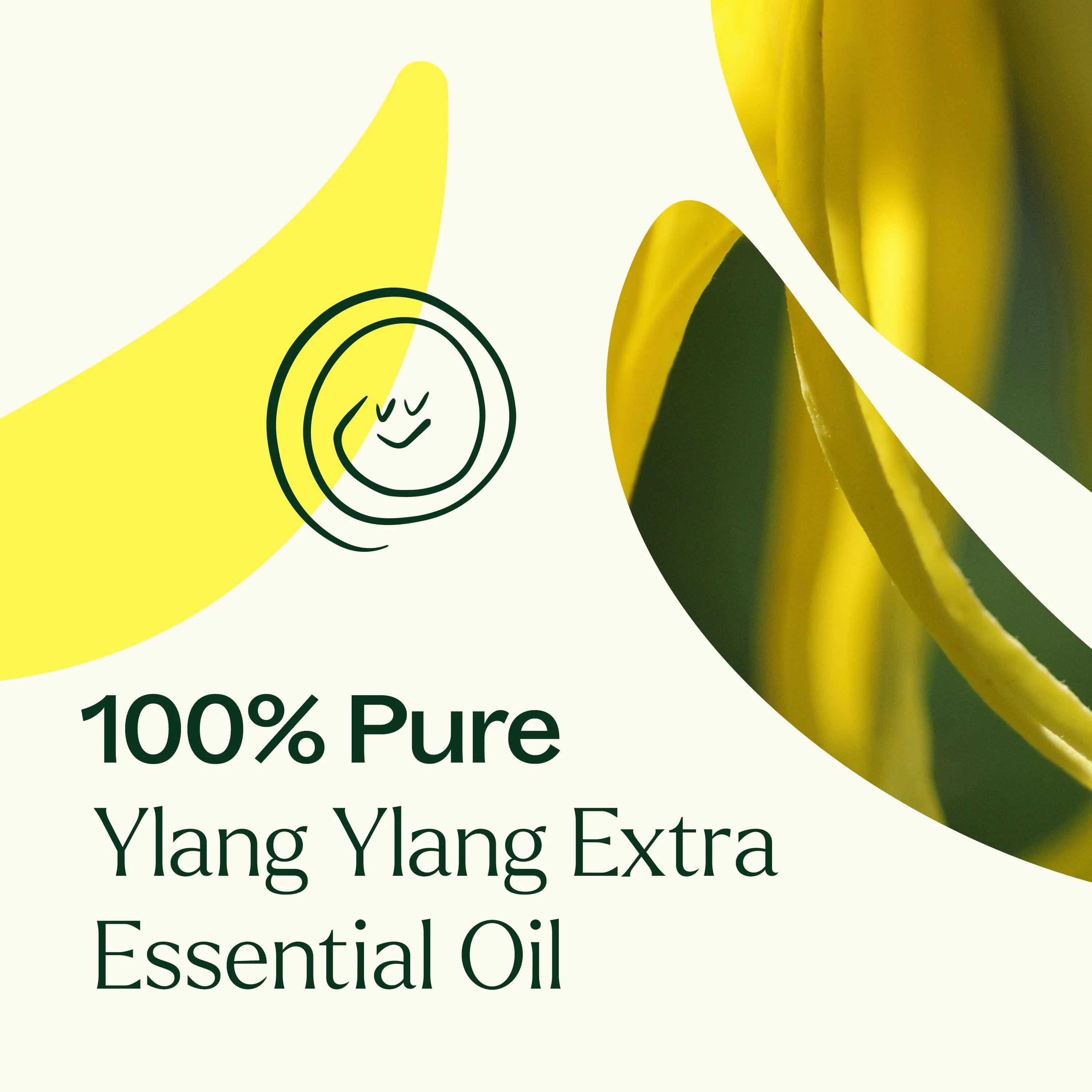Ylang Ylang Extra Essential Oil - Image 4